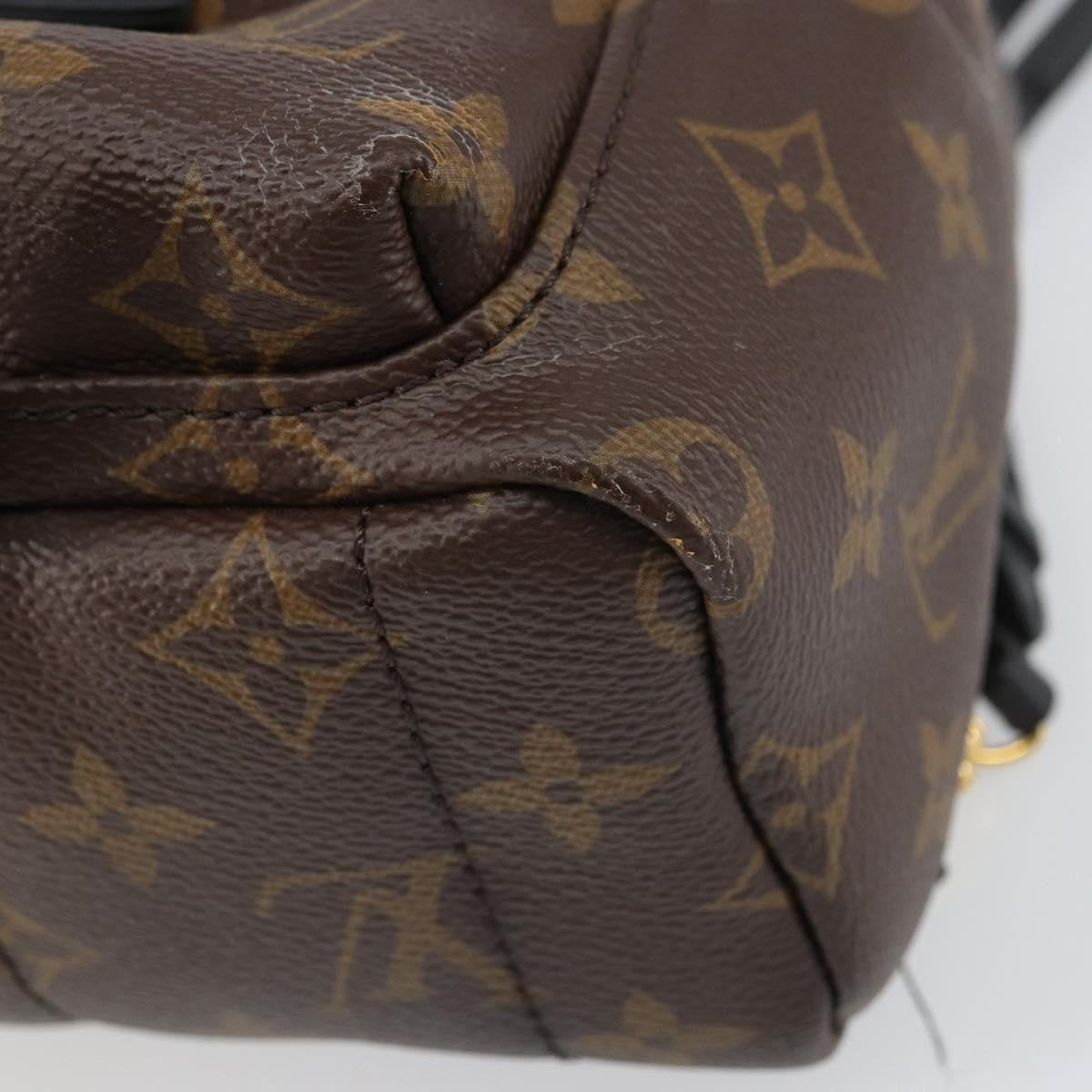 Louis Vuitton Palm Springs Monogram Canvas Brown Canvas Backpack Bag (Pre-Owned)