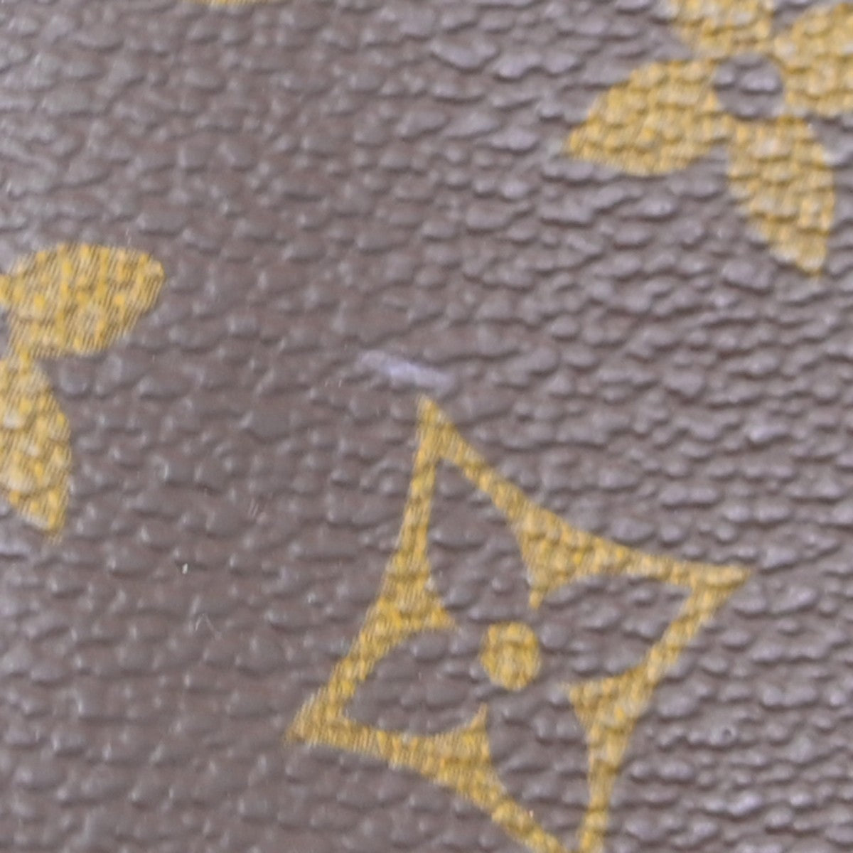 Louis Vuitton Speedy Monogram Canvas Brown Canvas Handbag (Pre-Owned)