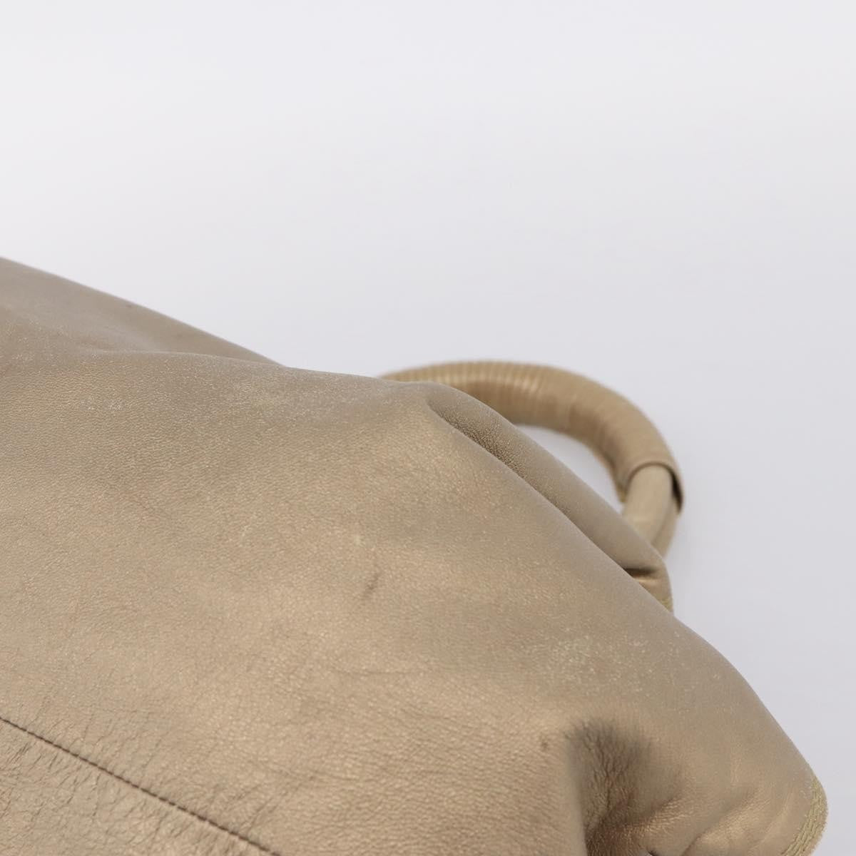 Loewe Aire Leather Gold Leather Shoulder Bag Bag (Pre-Owned)