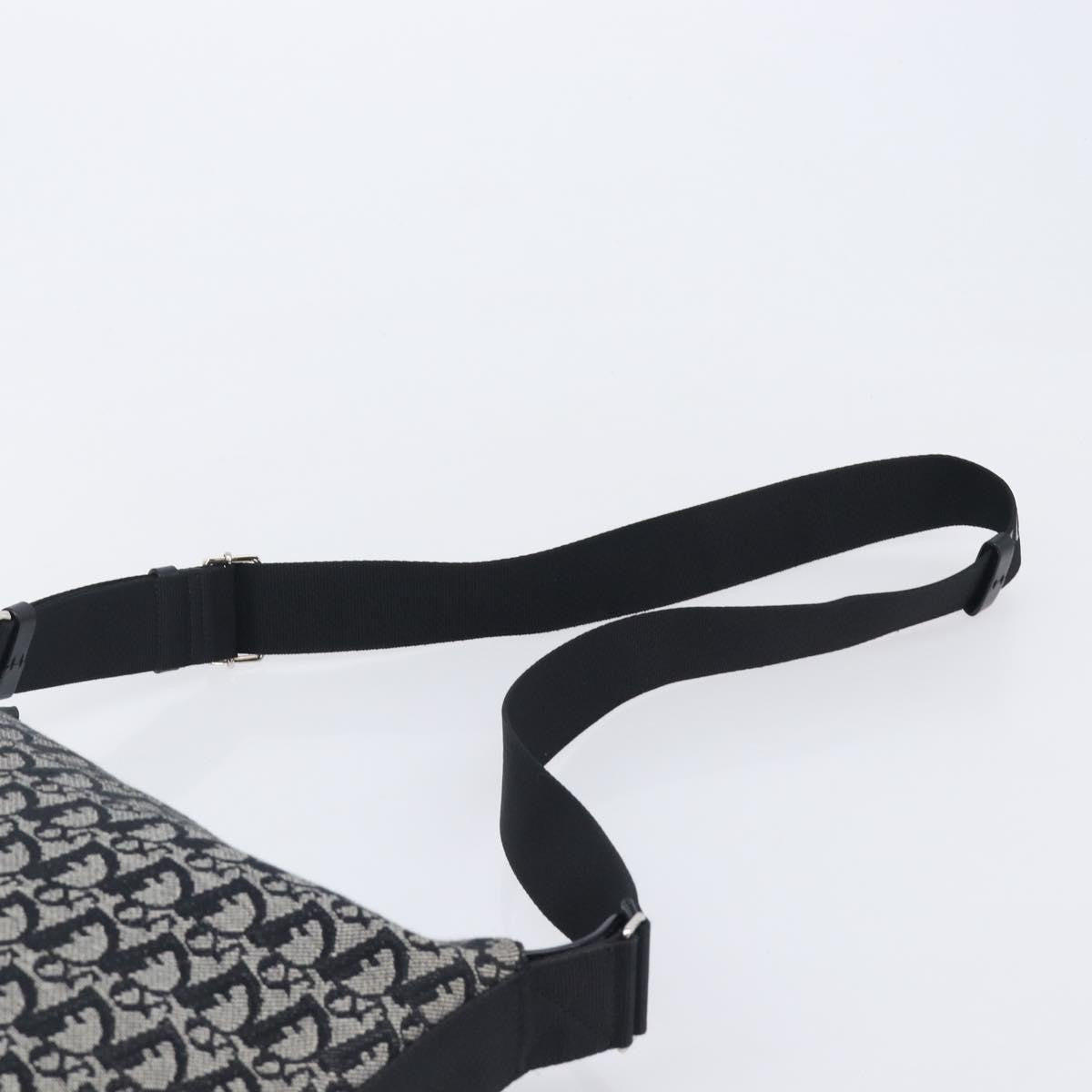 Christian Dior Vintage Trotter Messenger Diorissimo Canvas Gray Canvas Handbag (Pre-Owned)