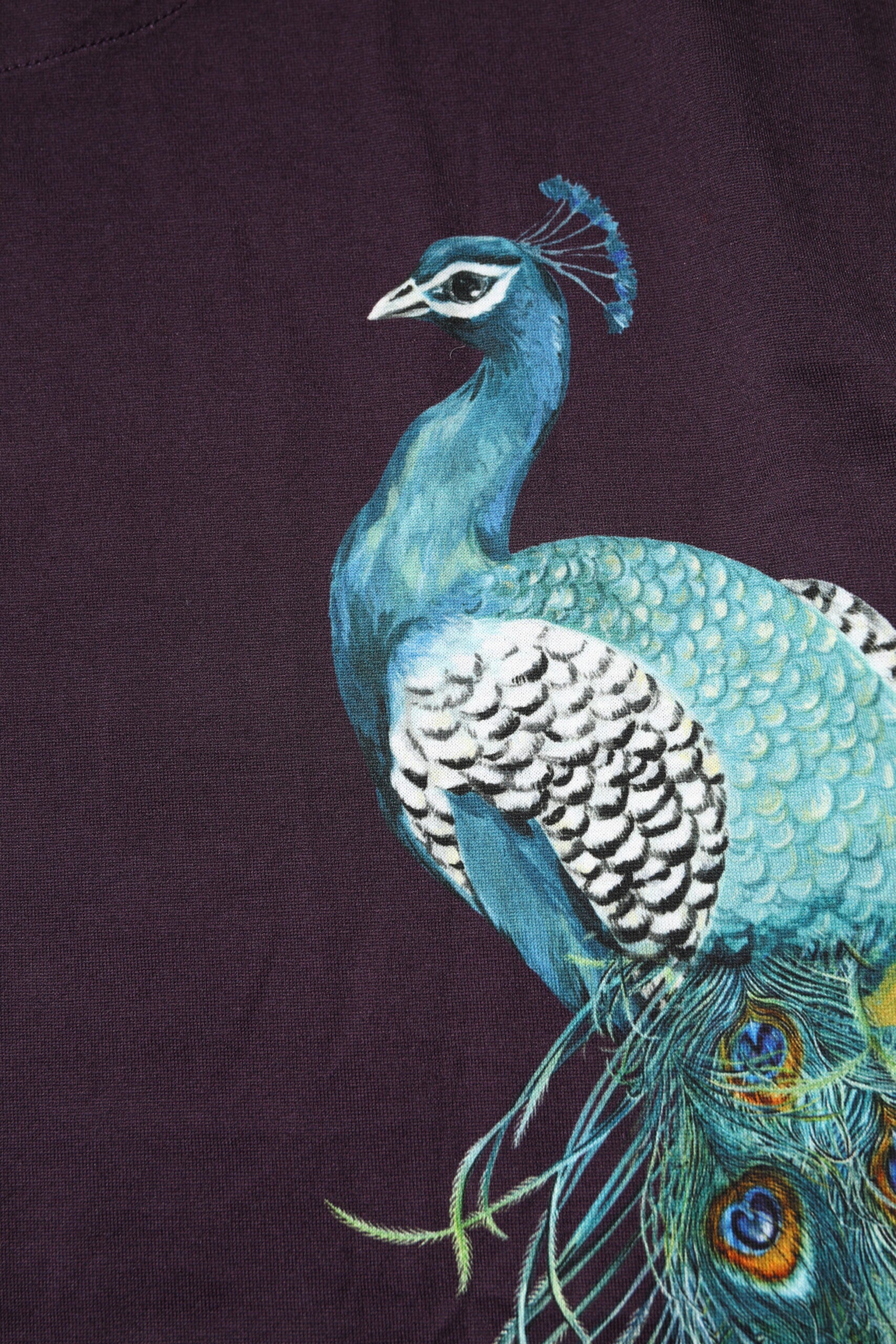 Dolce & Gabbana White Cotton Goodluck 2023 Crew Neck Women's T-shirt