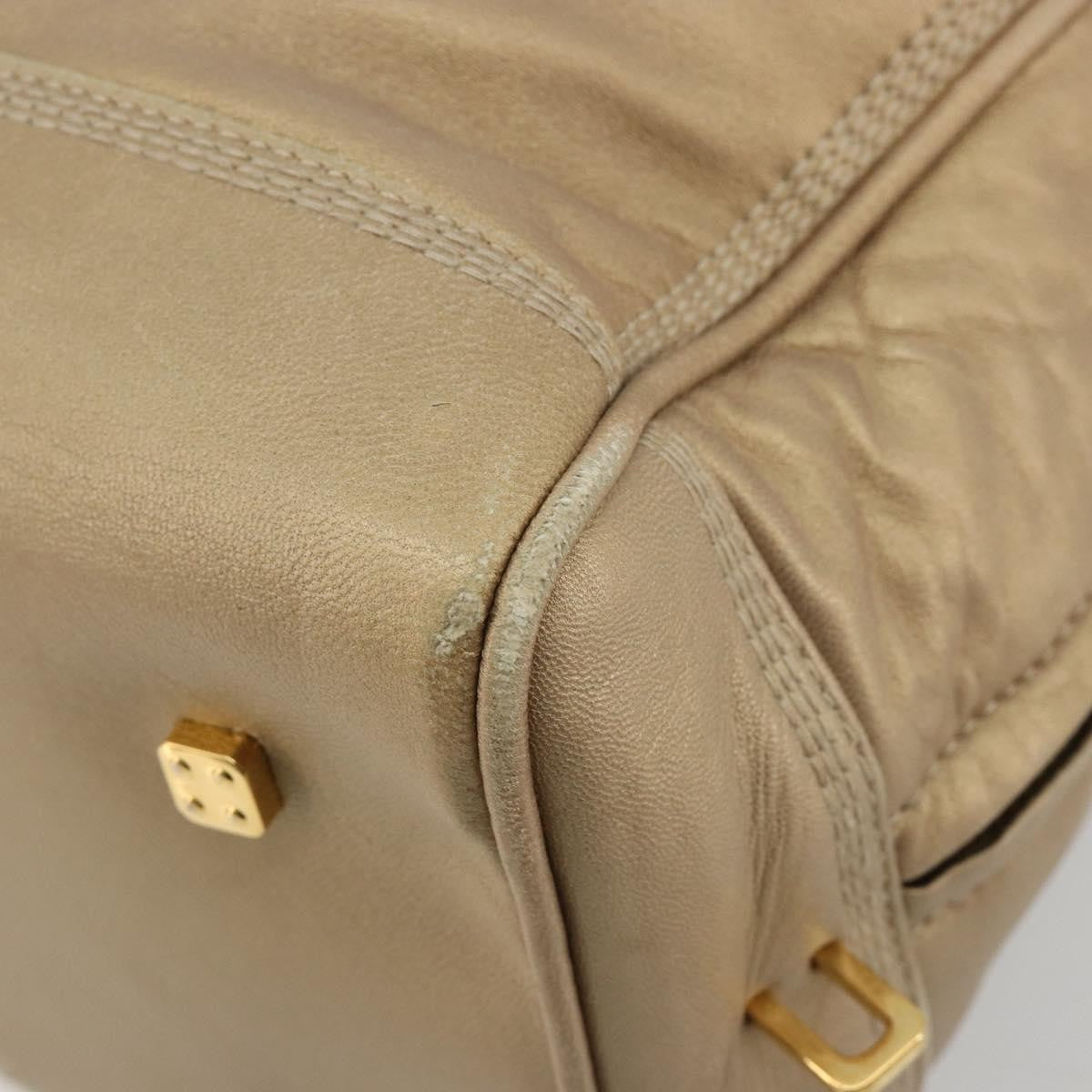 Loewe Amazona Leather Gold Leather Handbag (Pre-Owned)