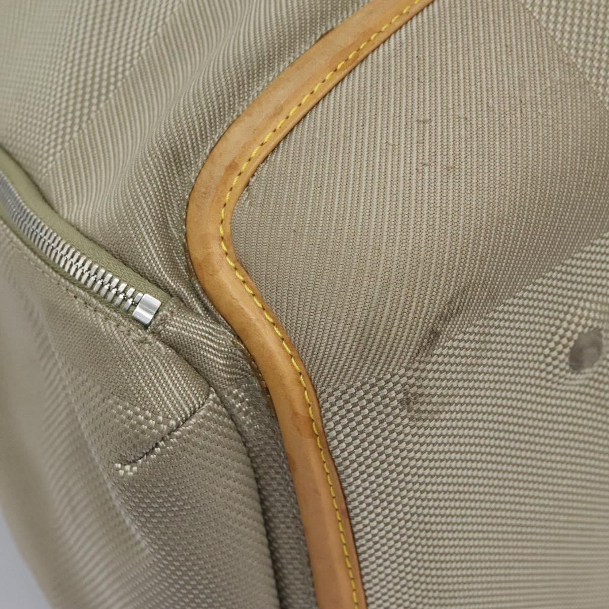 Louis Vuitton Aventurier Polaire Damier Geant Canvas Other Canvas Travel Bag Bag (Pre-Owned)