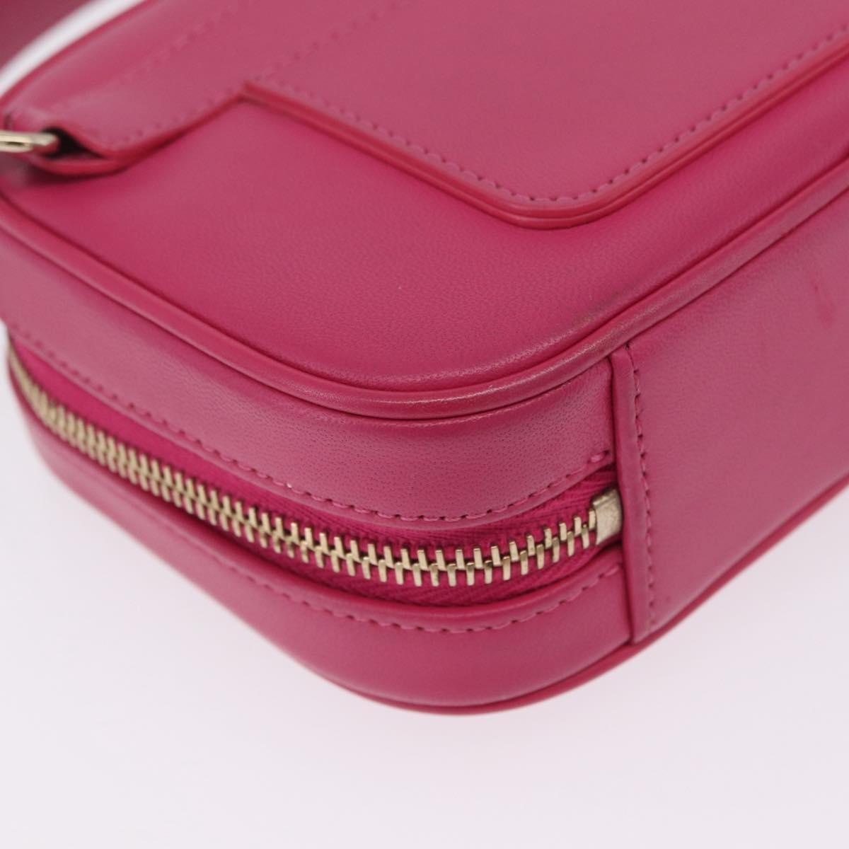 Chanel Cc Mania Camera Lambskin Pink Leather Handbag (Pre-Owned)