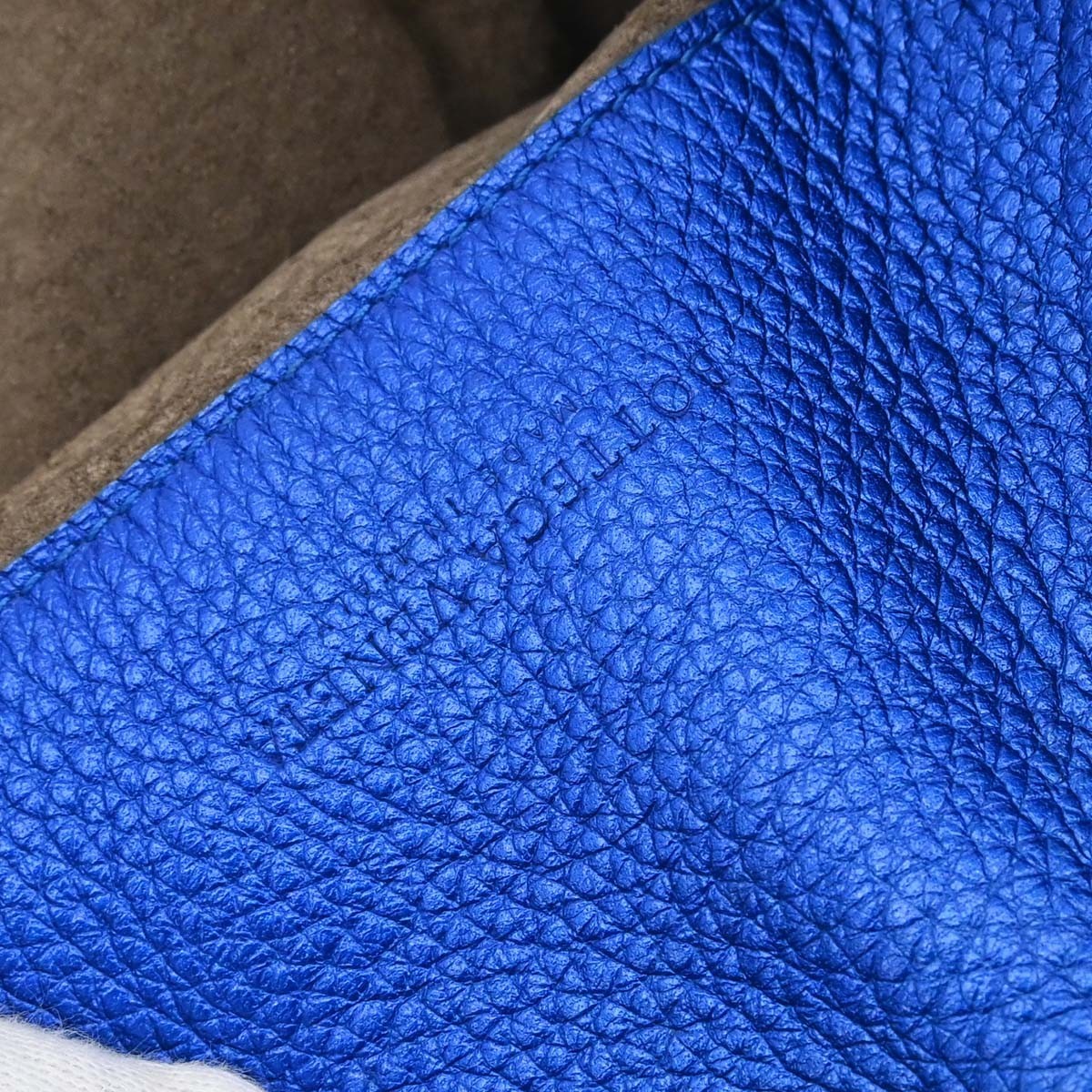 Bottega Veneta Intrecciato Handbag Intrecciato Metallic Leather Handbag (Pre-Owned)