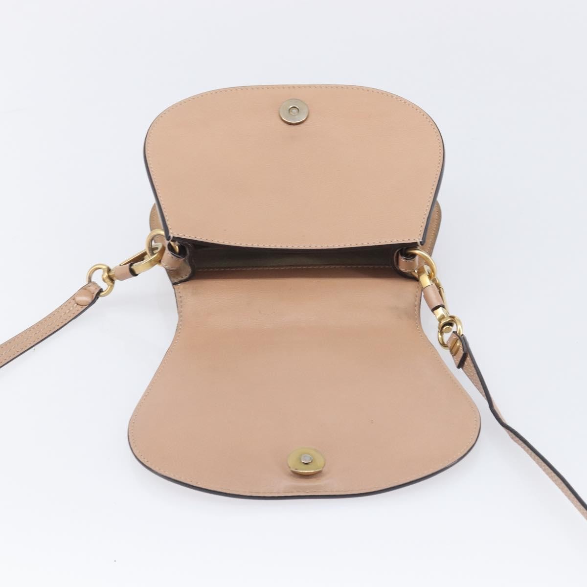 Chloe Nile Leather Pink Leather Crossbody Bag Bag (Pre-Owned)