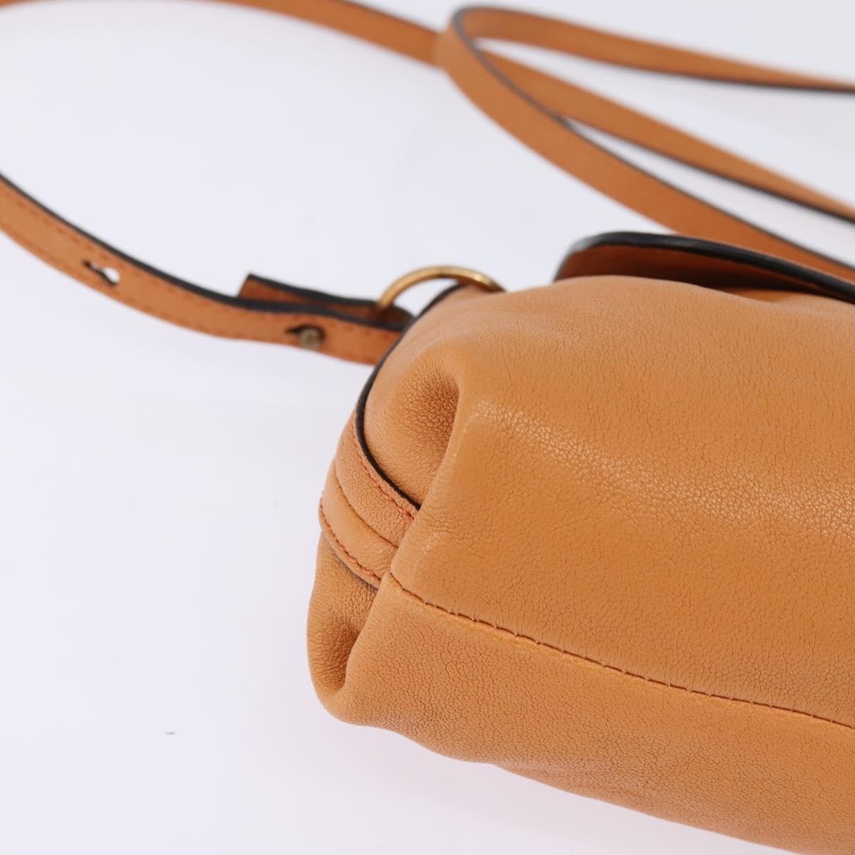 Chloe Elsie Leather Orange Leather Shoulder Bag Bag (Pre-Owned)