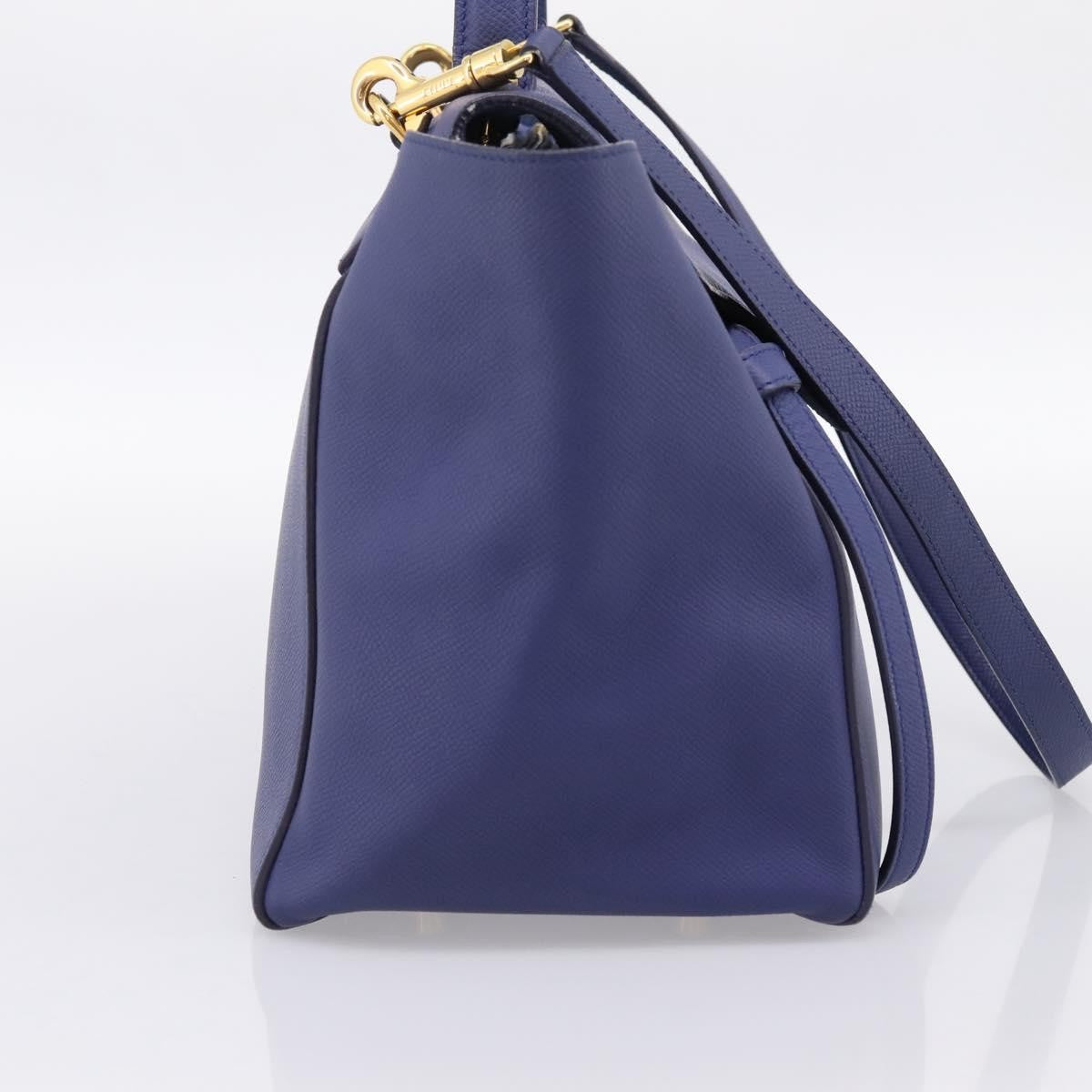 Celine Belt Leather Blue Leather Handbag (Pre-Owned)