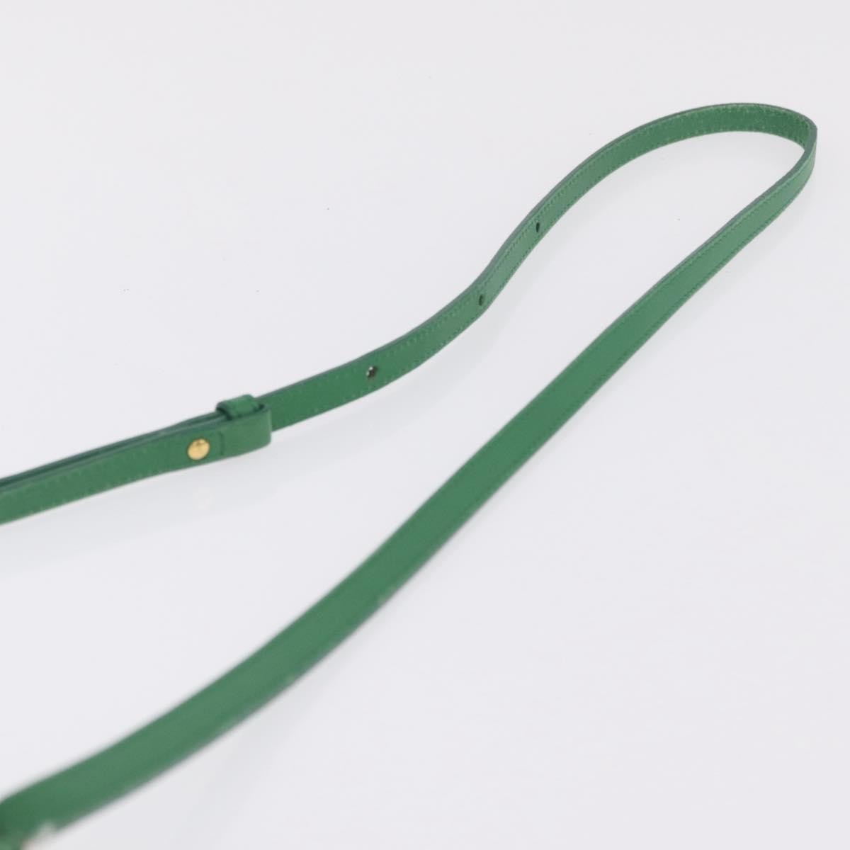 Celine Trio Leather Green Leather Crossbody Bag Bag (Pre-Owned)