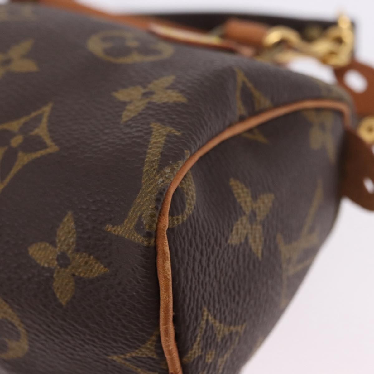Louis Vuitton Speedy Mini Hl Monogram Canvas Brown Canvas Handbag (Pre-Owned)