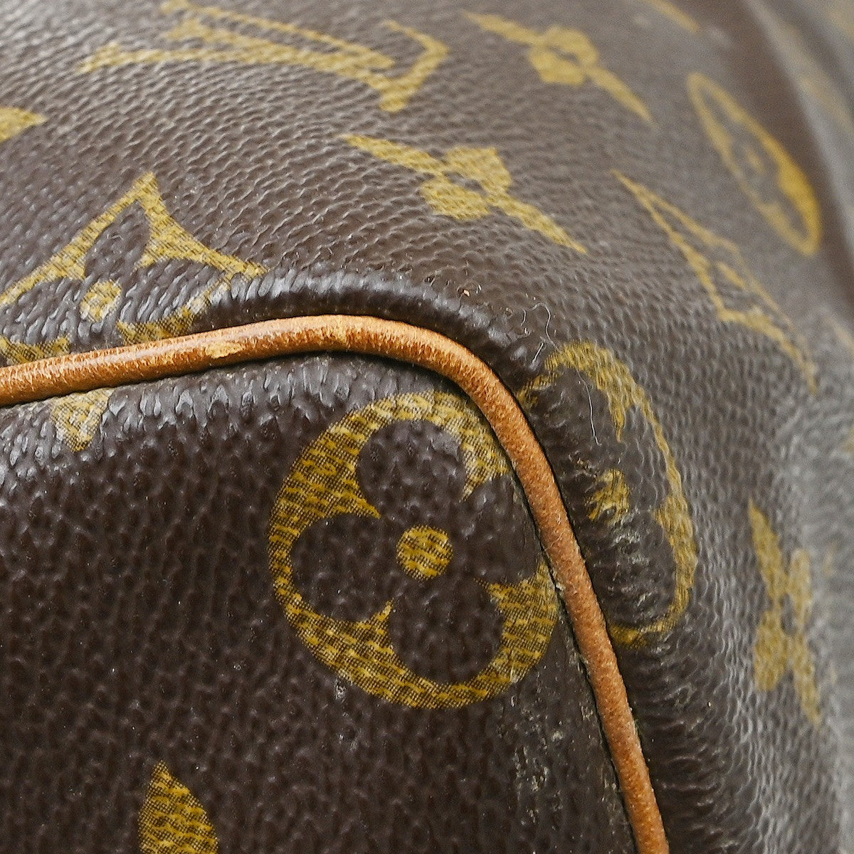Louis Vuitton Speedy Monogram Canvas Brown Canvas Handbag (Pre-Owned)
