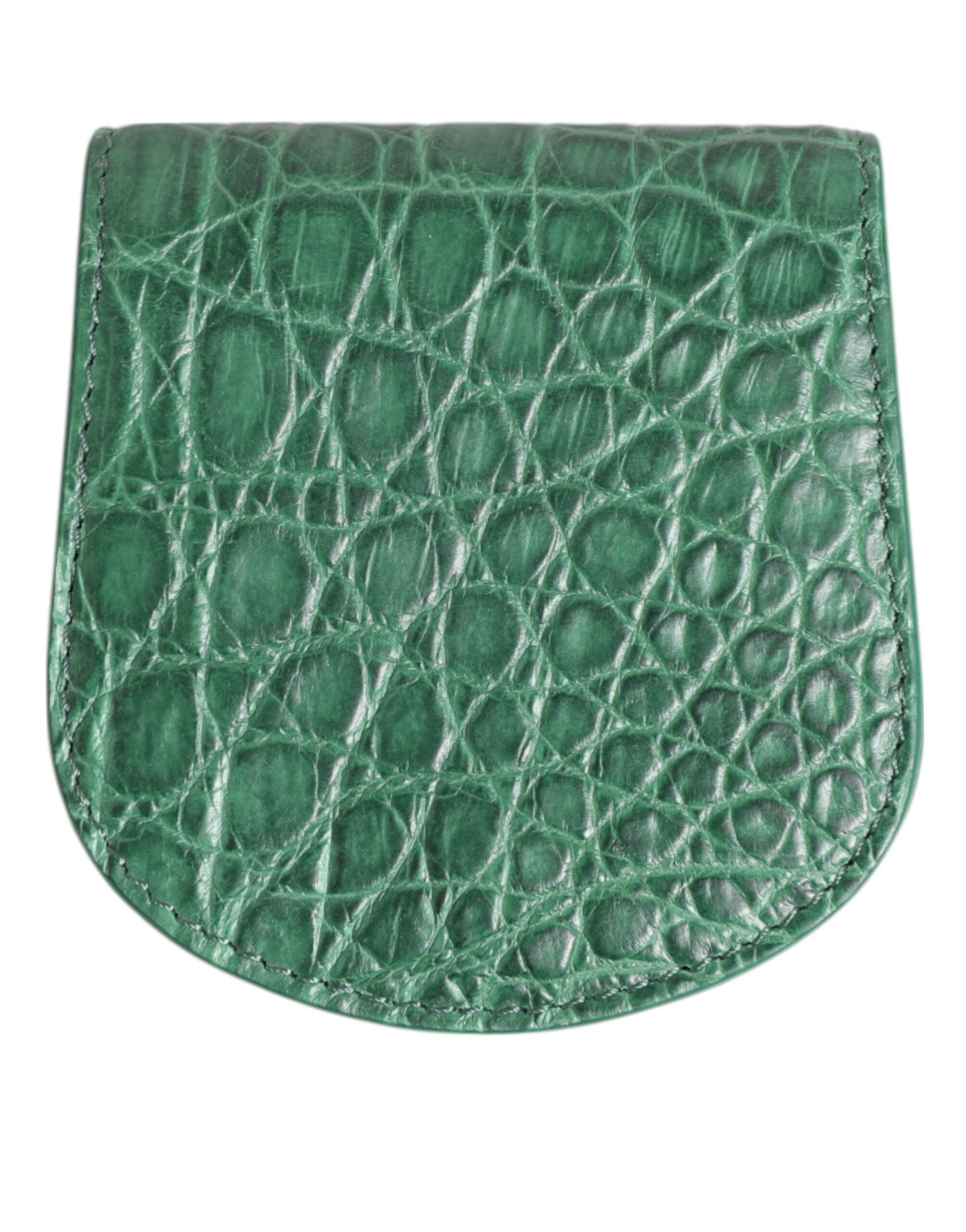Dolce & Gabbana Green Exotic Skin Coin Condom Case Holder Pocket Men's Wallet