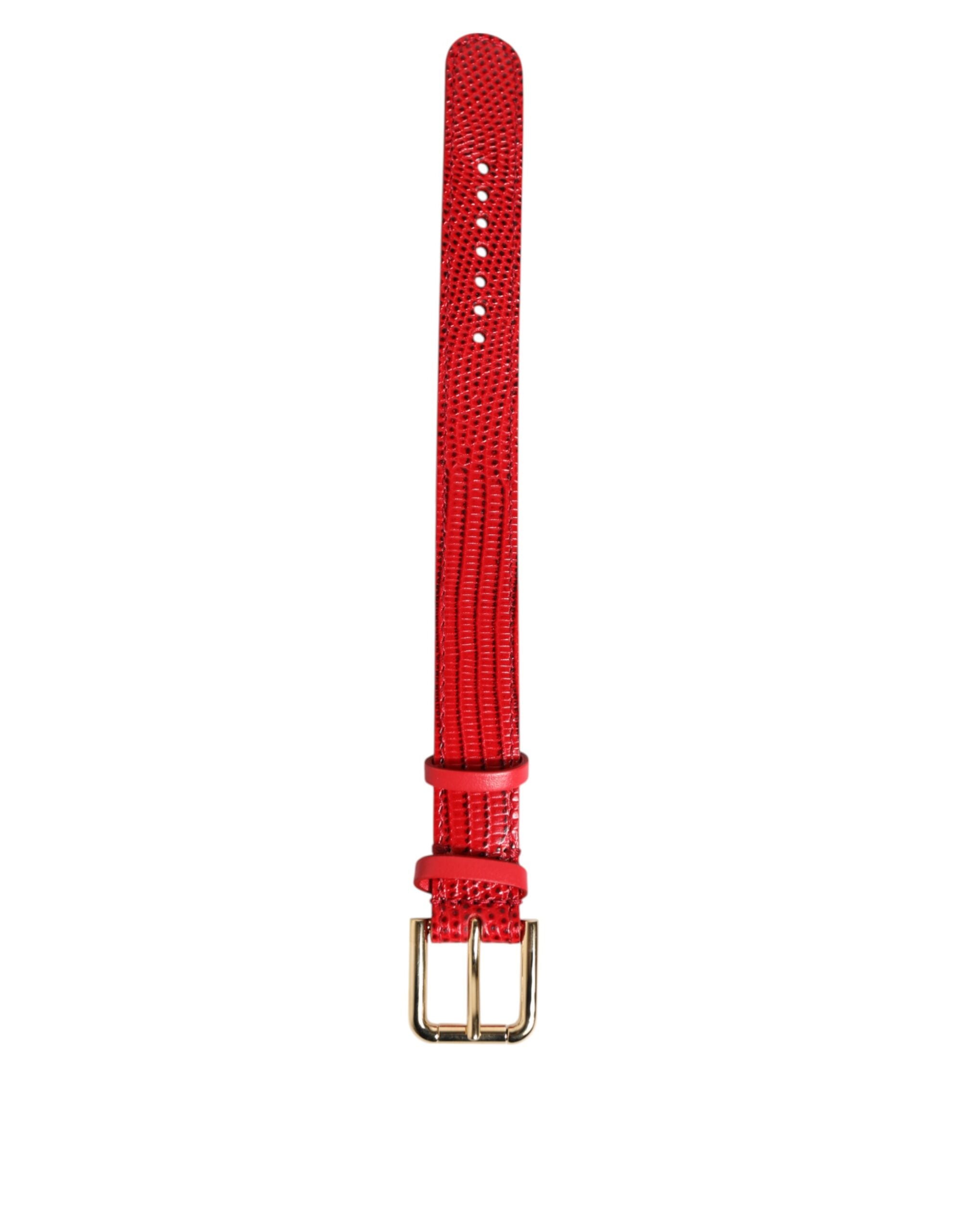 Dolce & Gabbana Red Exotic Leather Gold Tone Metal Buckle Women Women's Armband