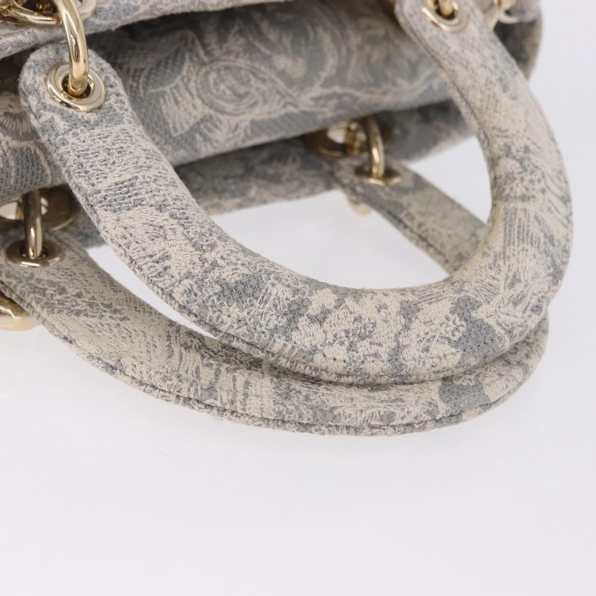 Christian Dior Lady Dior Embroidered Canvas Gray Canvas Handbag (Pre-Owned)