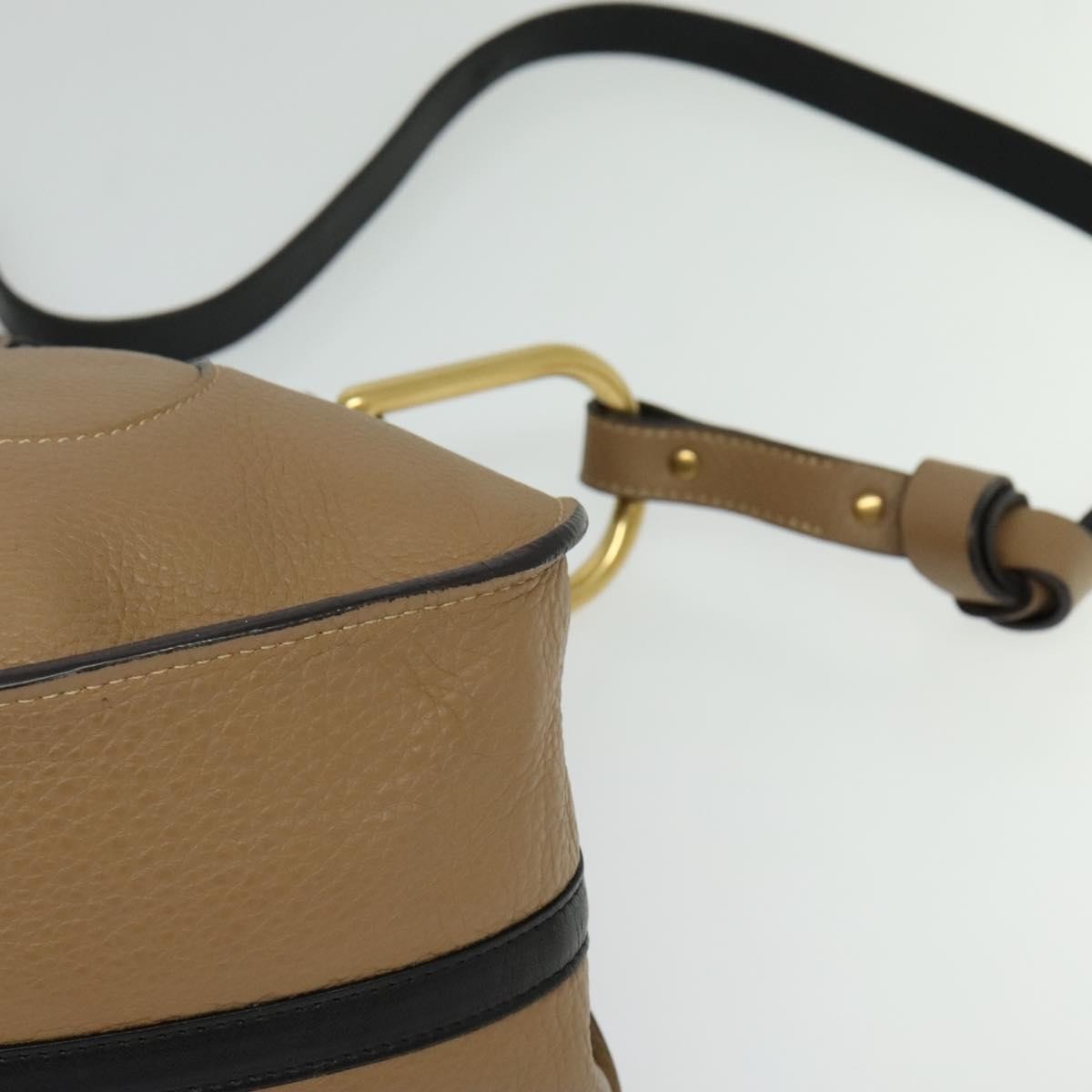 Chloe Hailey Leather Beige Leather Bag (Pre-Owned)
