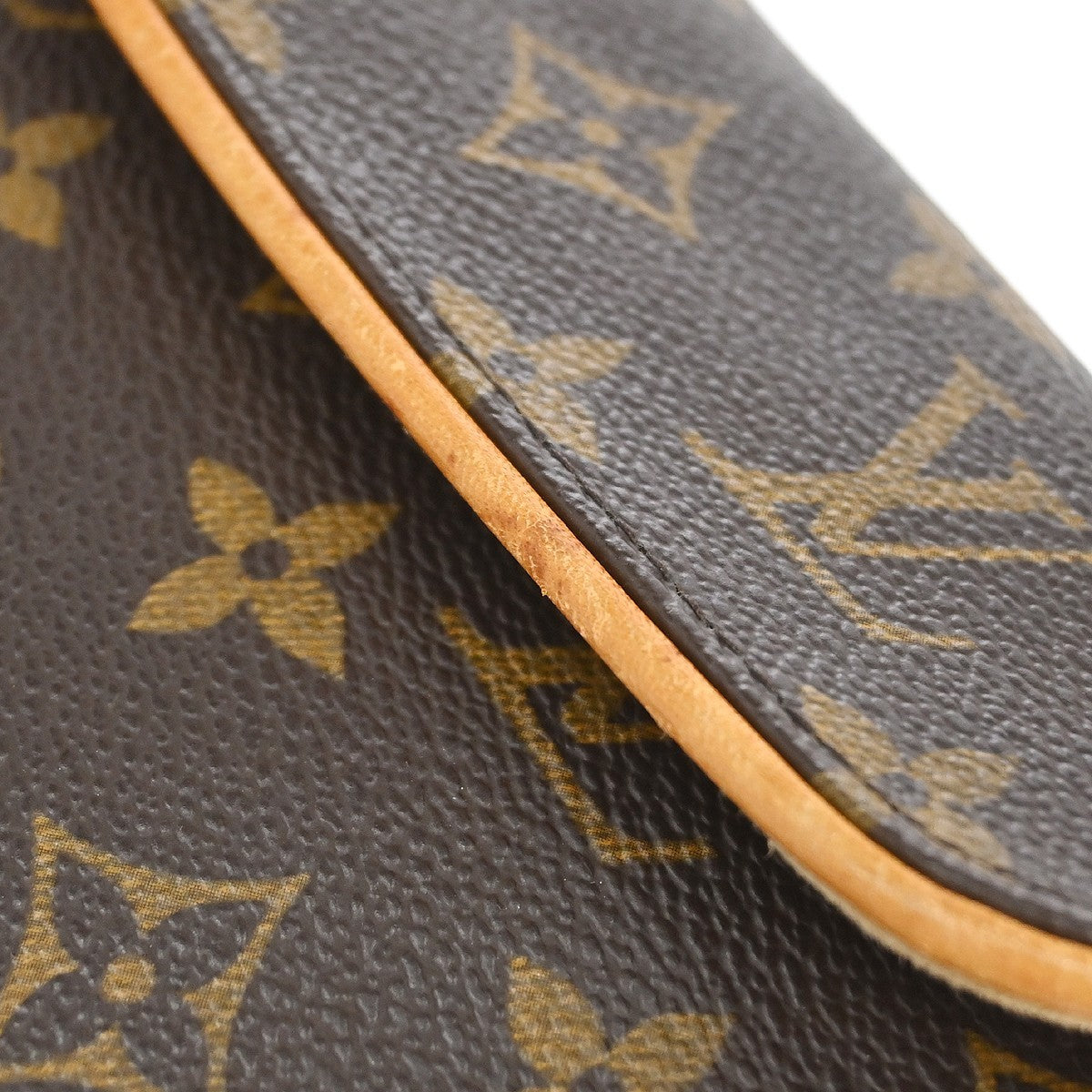 Louis Vuitton Florentine Canvas Brown Canvas Clutche & Pouche Bag (Pre-Owned)