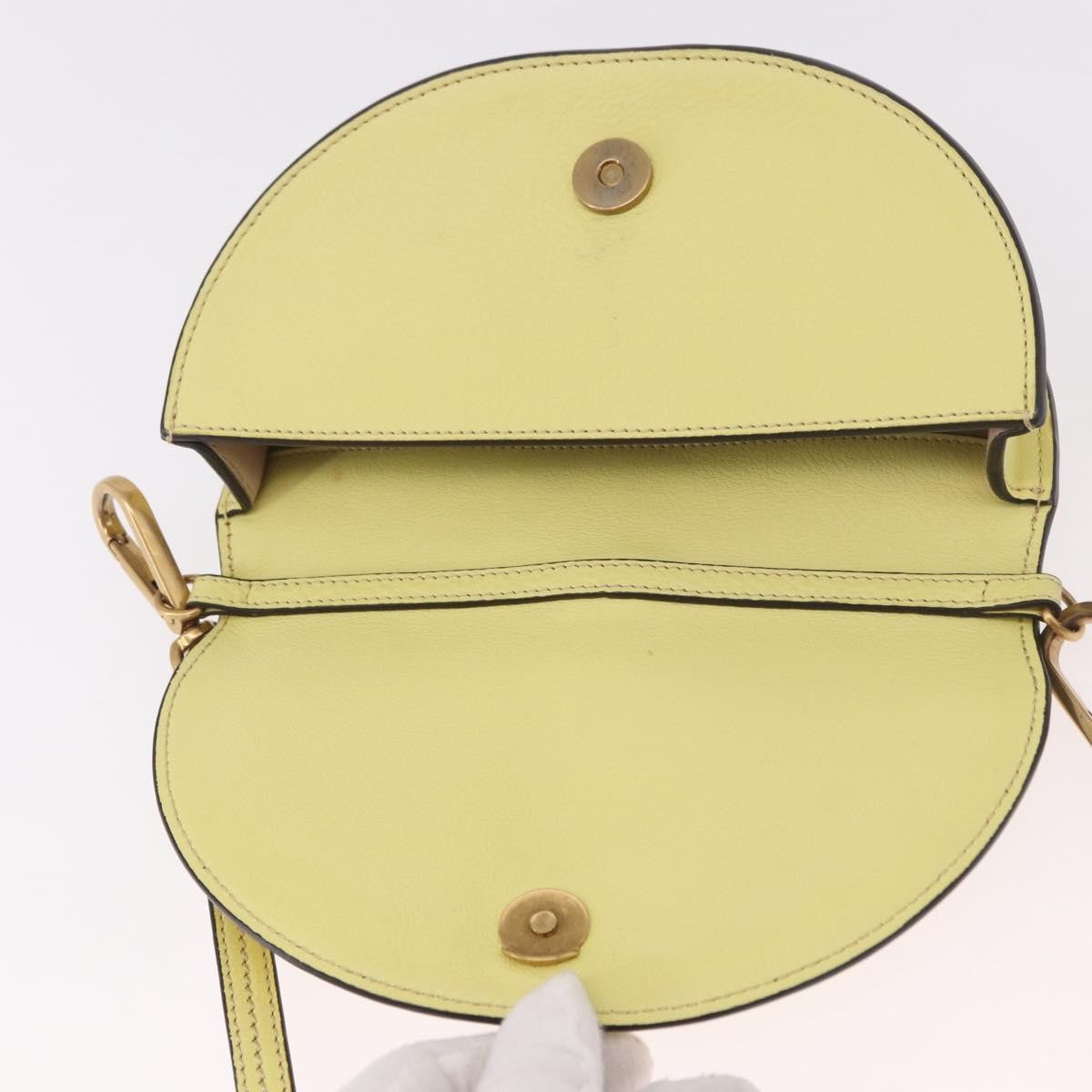 Chloe Nile Leather Yellow Leather Handbag (Pre-Owned)
