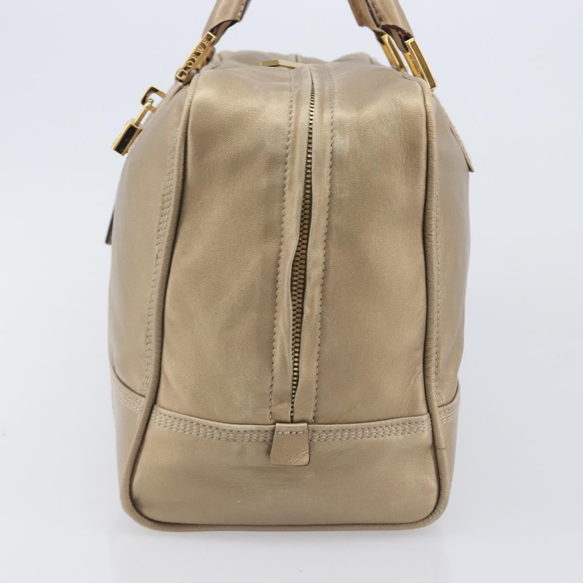 Loewe Amazona Leather Gold Leather Handbag (Pre-Owned)