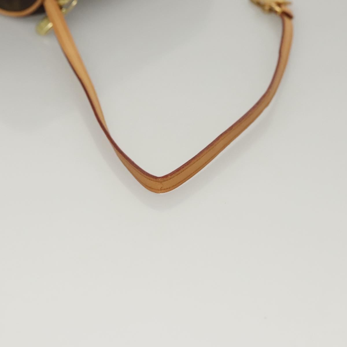 Louis Vuitton Papillon Pochette Monogram Canvas Brown Canvas Bag (Pre-Owned)