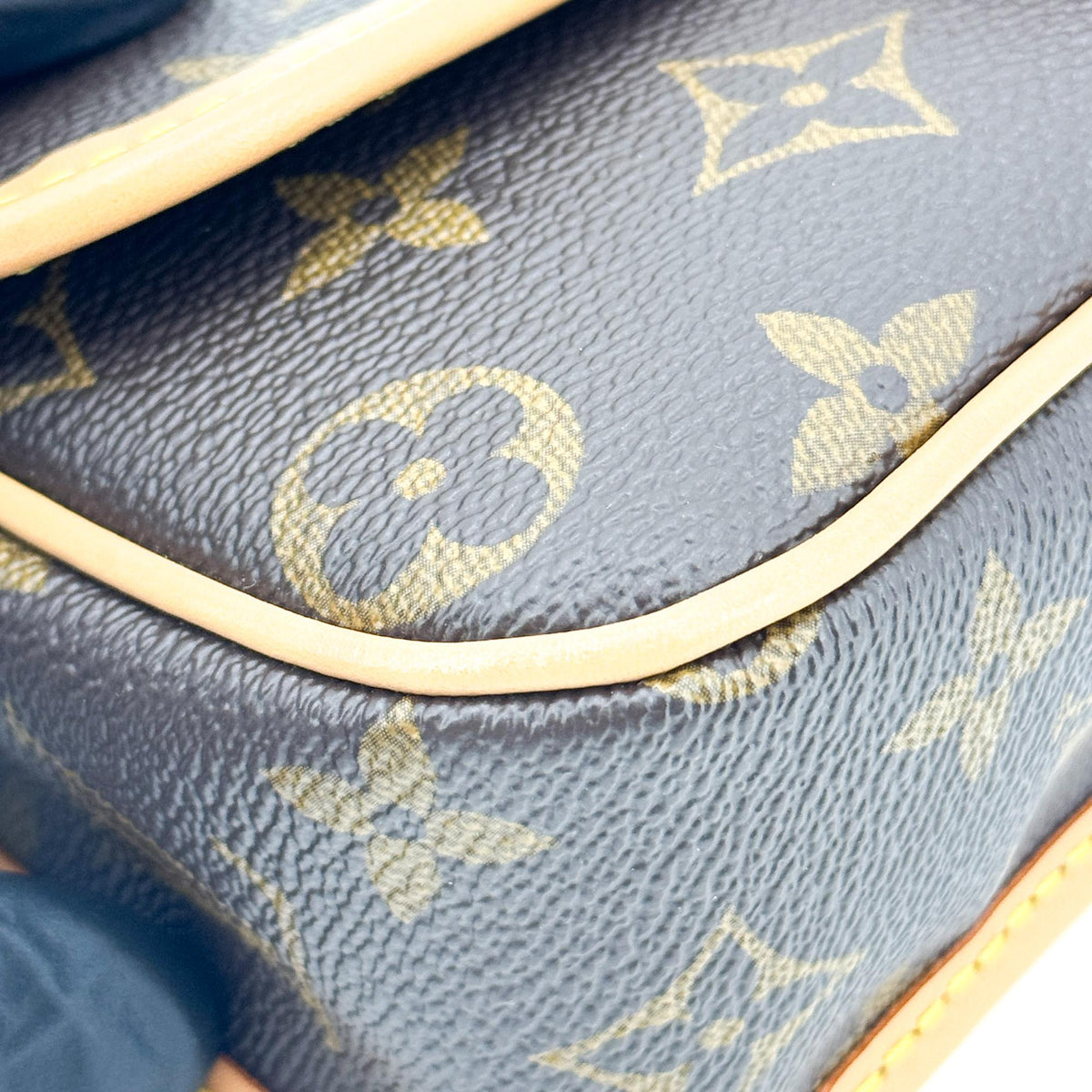 Louis Vuitton Diane Nm Monogram Canvas Brown Canvas Handbag (Pre-Owned)