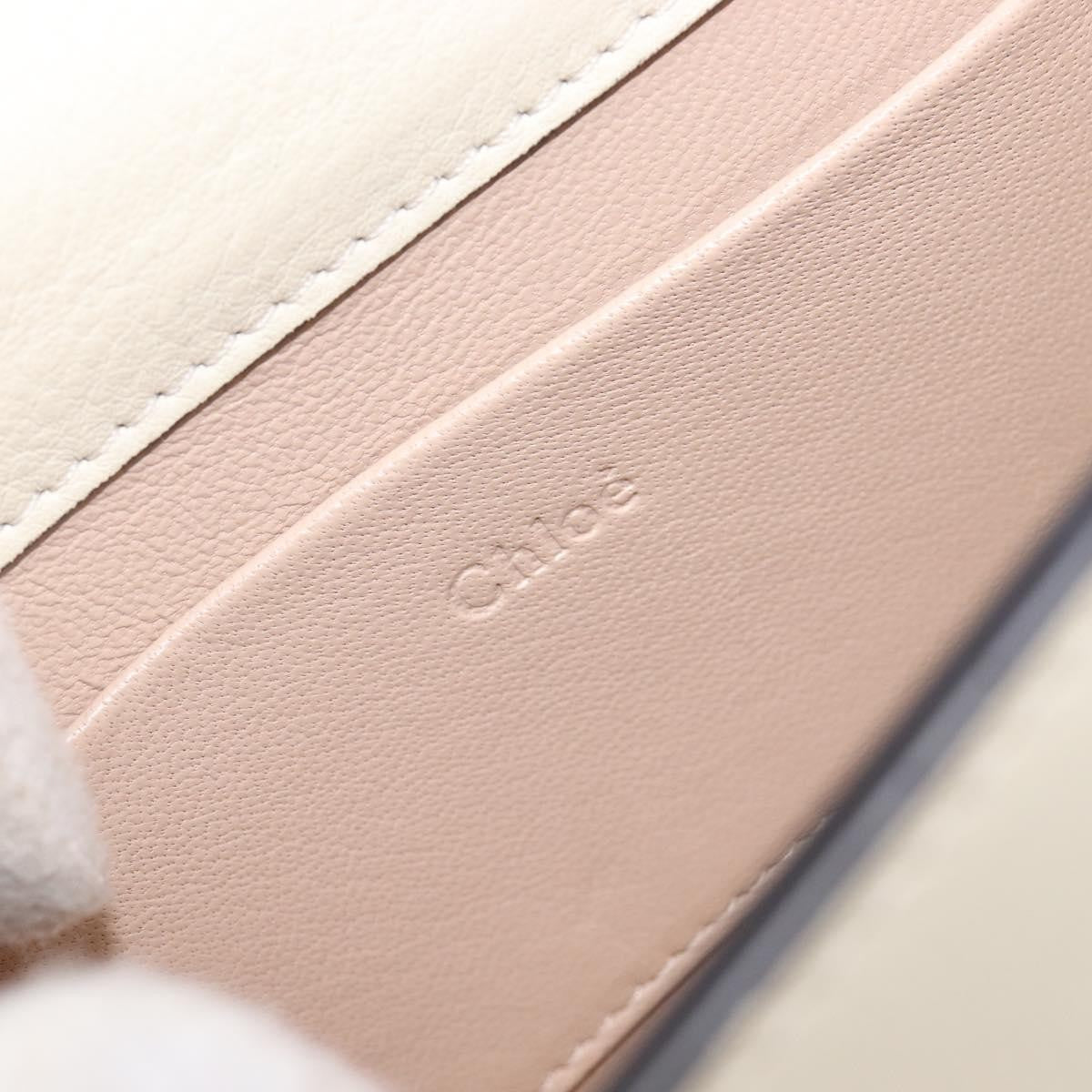 Chloe Nile Minaudière Leather White Leather Handbag (Pre-Owned)