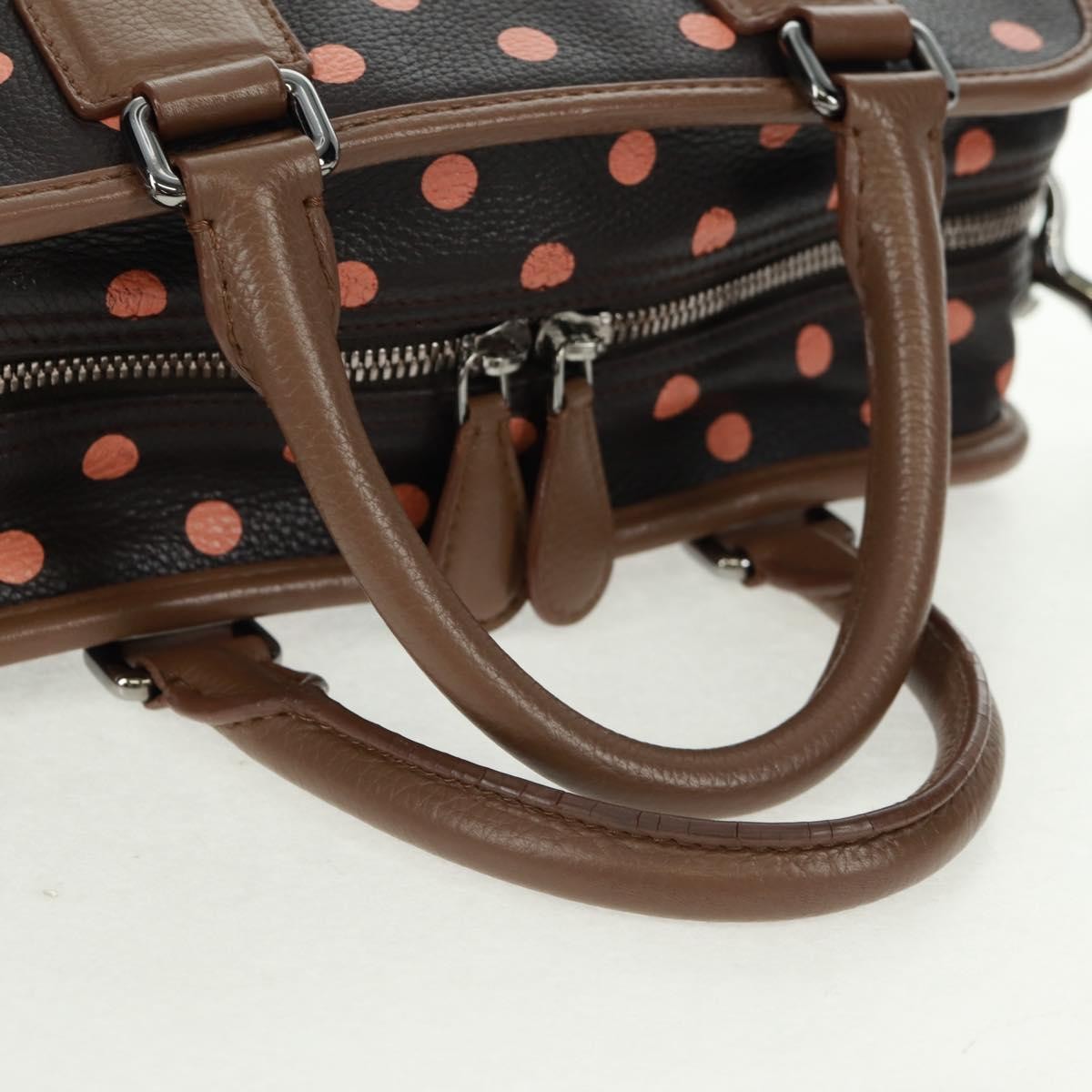 Loewe Cruz Printed Leather Brown Leather Handbag (Pre-Owned)
