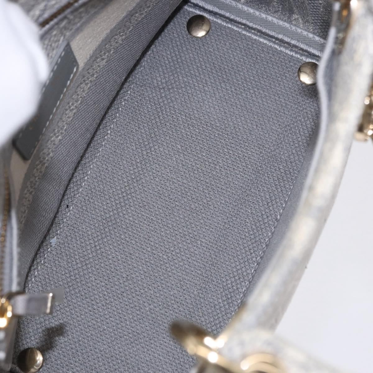 Christian Dior Lady Dior Embroidered Canvas Gray Canvas Handbag (Pre-Owned)