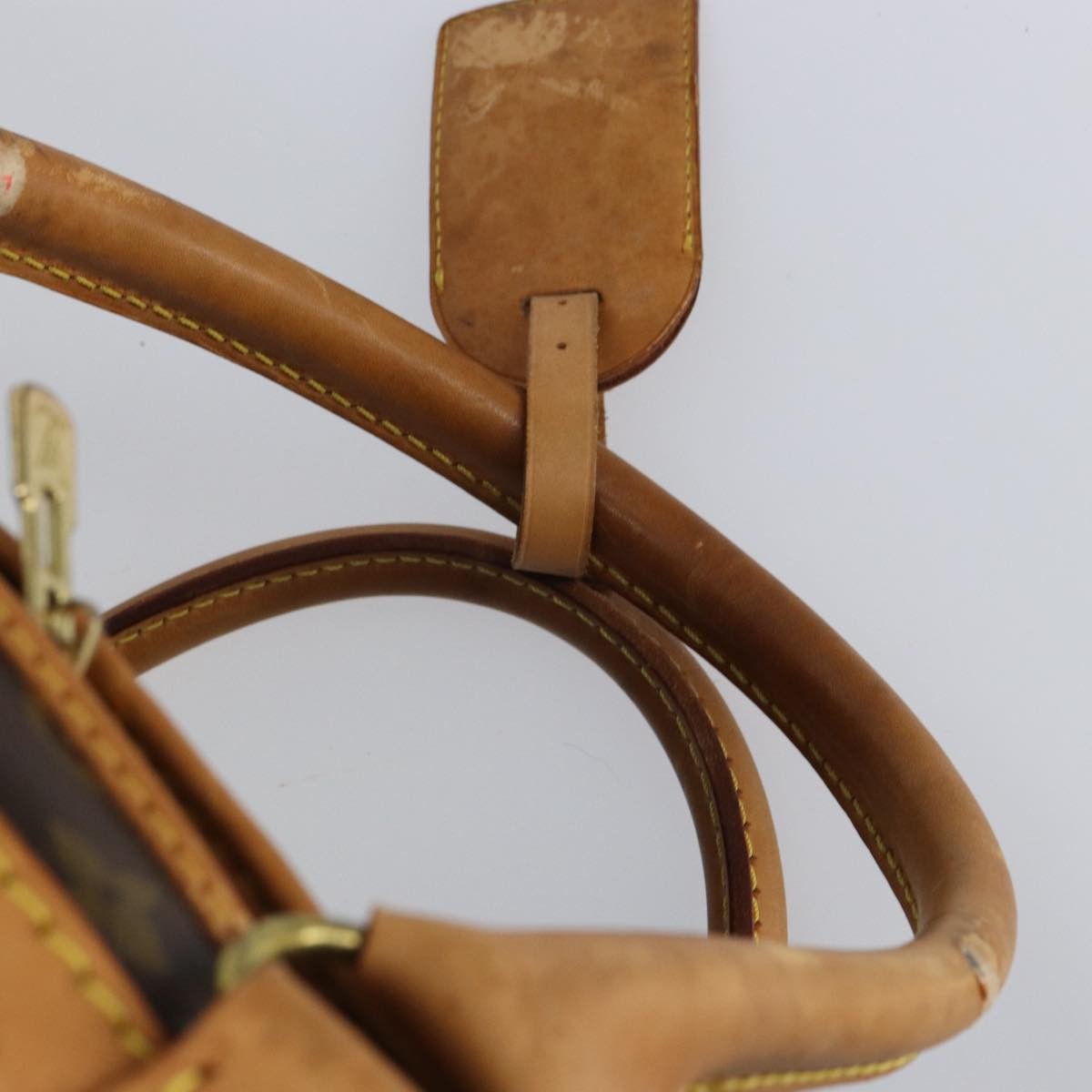 Louis Vuitton Dog Carrier Monogram Canvas Brown Canvas Travel Bag Bag (Pre-Owned)