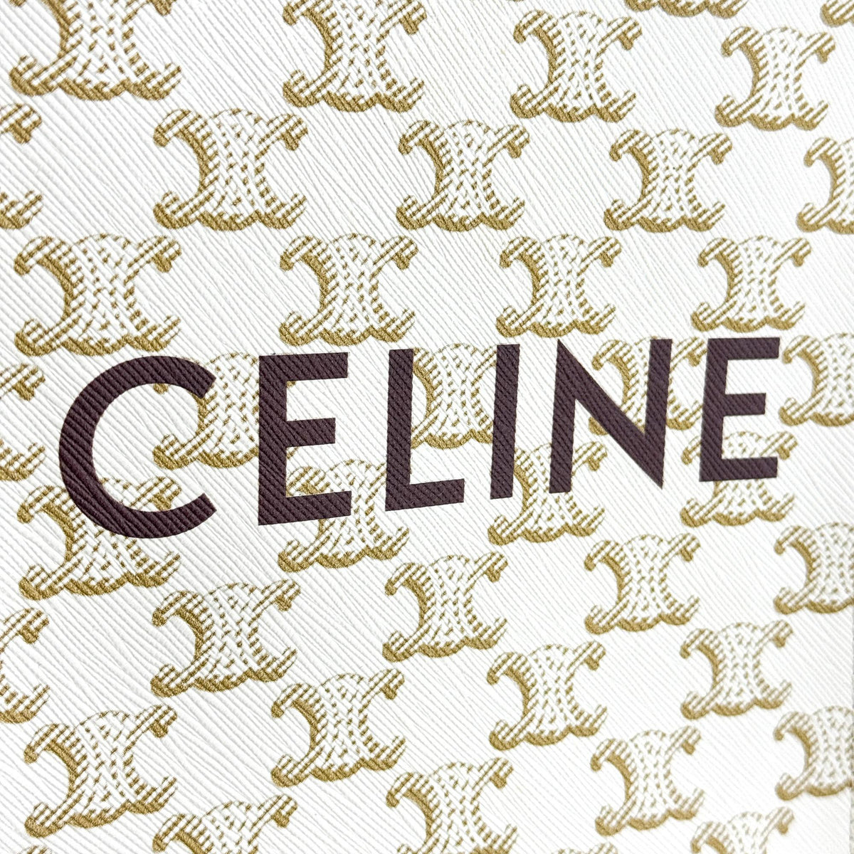 Celine Vertical Cabas Triomphe Coated Canvas White Canvas Tote Bag Bag (Pre-Owned)