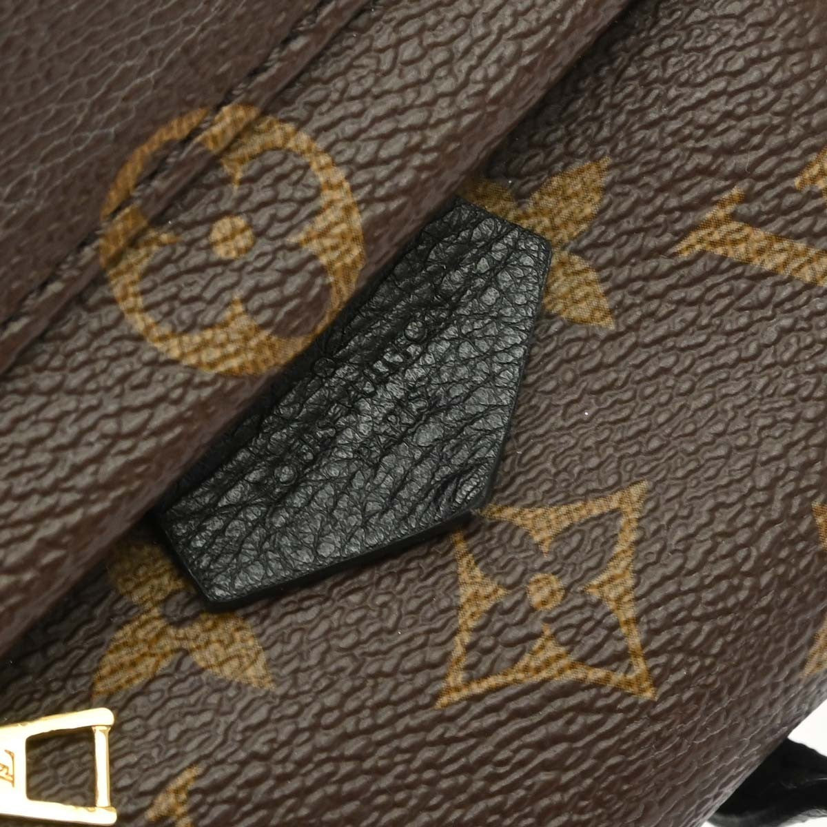 Louis Vuitton Palm Springs Monogram Brown Canvas Backpack Bag (Pre-Owned)
