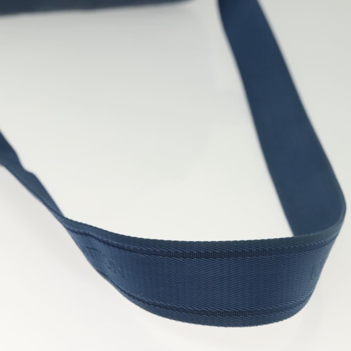 Louis Vuitton Ambler Damier Infini Leather Blue Leather Shoulder Bag Bag (Pre-Owned)