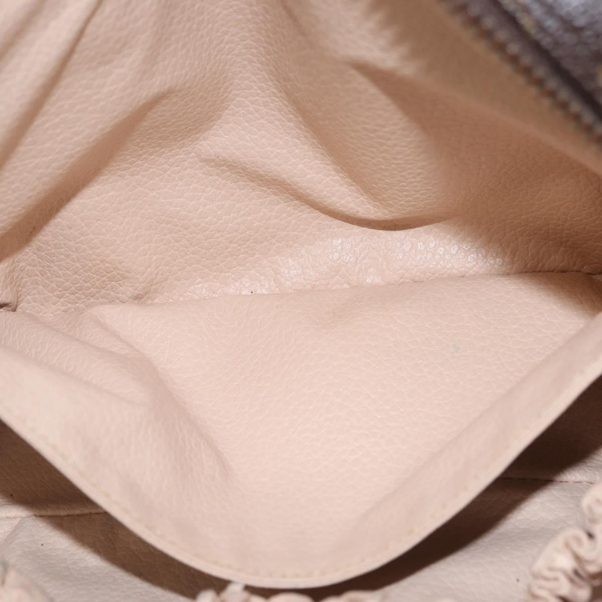 Louis Vuitton Trousse Toilette Monogram Canvas Brown Canvas Clutche & Pouche Bag (Pre-Owned)