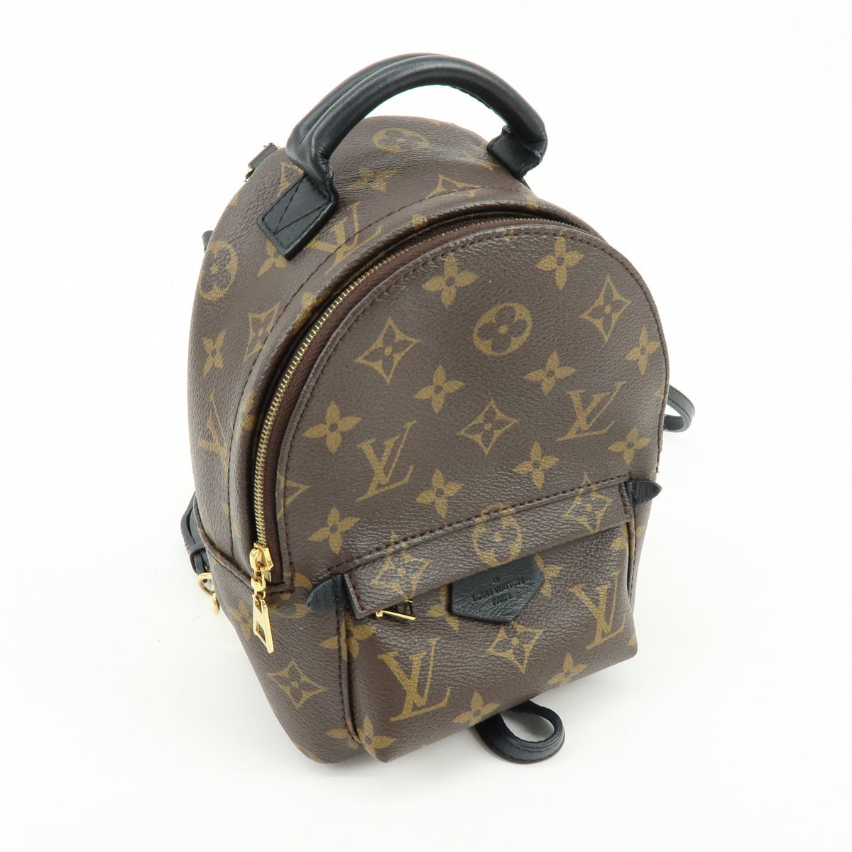 Louis Vuitton Palm Springs Monogram Canvas Brown Canvas Backpack Bag (Pre-Owned)