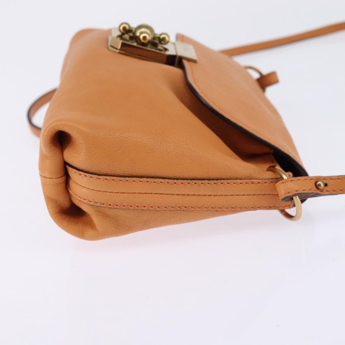 Chloe Elsie Leather Orange Leather Shoulder Bag Bag (Pre-Owned)