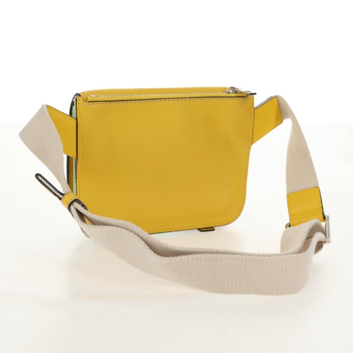 Loewe Military Messenger Leather Yellow Leather Clutche & Pouche Bag (Pre-Owned)