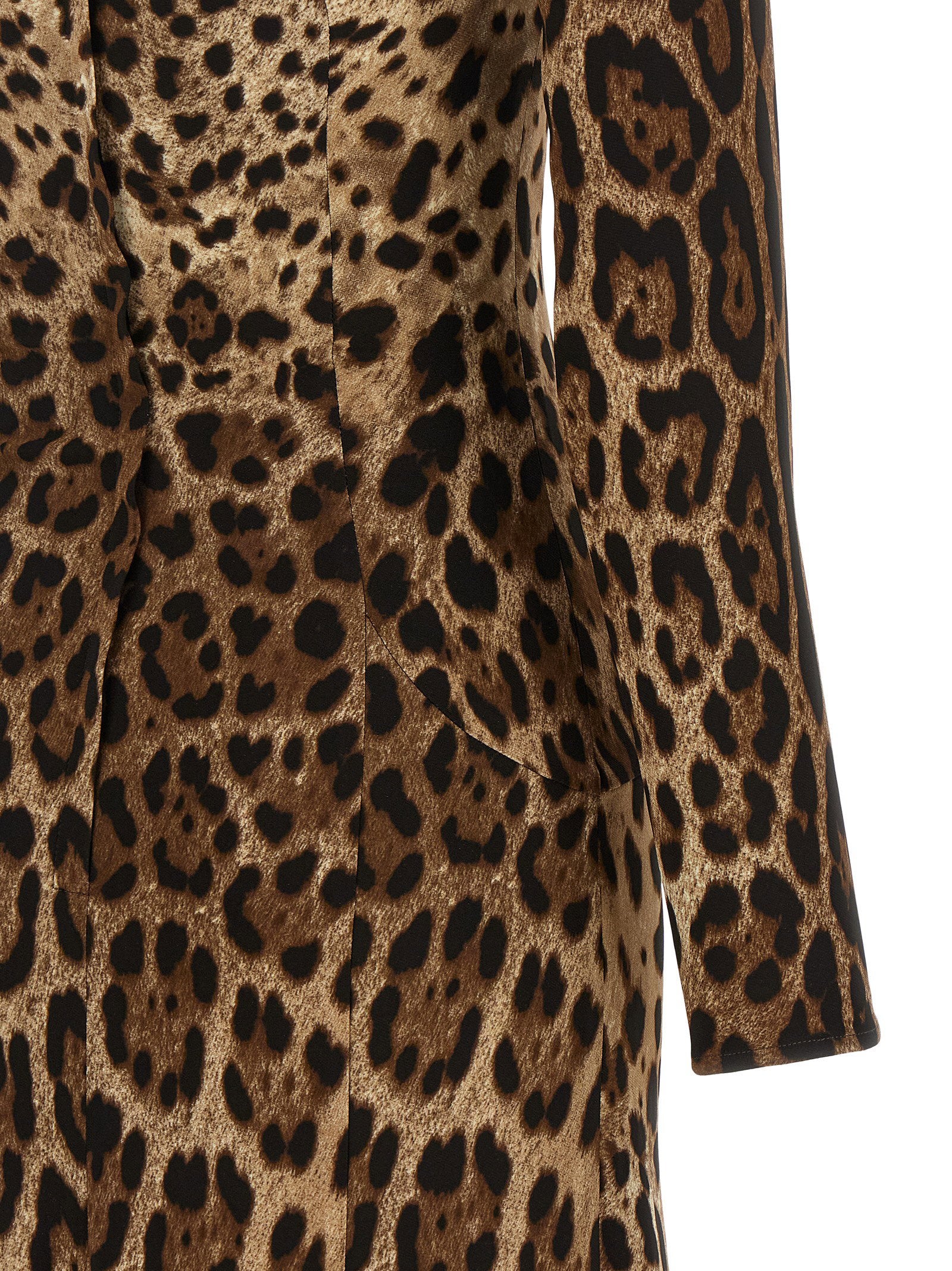 Dolce & Gabbana Women's Animal Print Dress