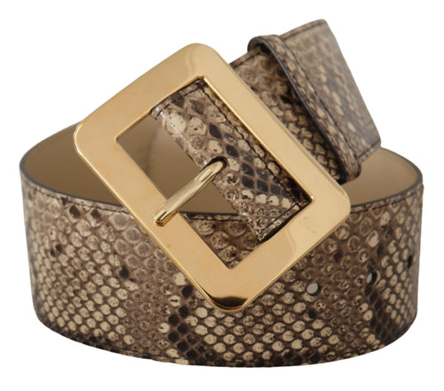 Dolce & Gabbana Brown Exotic Wide Waist Leather Gold Metal Buckle Women's Belt