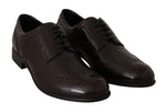 Dolce & Gabbana Brown Leather Broques Oxford Wingtip Women's Shoes