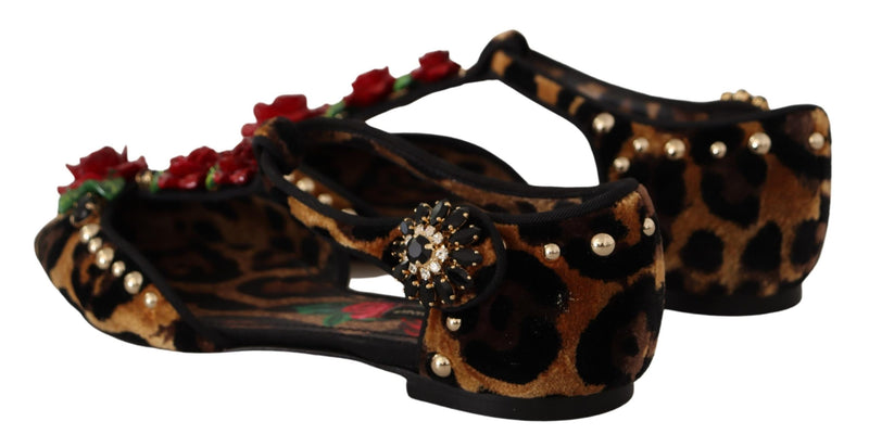 Dolce & Gabbana Floral Embellished Leopard T-Strap Women's Sandals