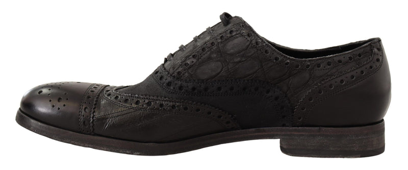 Dolce & Gabbana Exotic Leather Brogue Derby Dress Men's Shoes