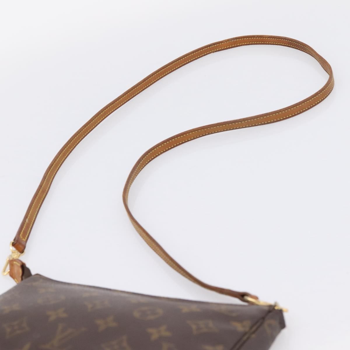 Louis Vuitton Pochette Accessoires Nm Monogram Canvas Brown Canvas Clutche & Pouche Bag (Pre-Owned)