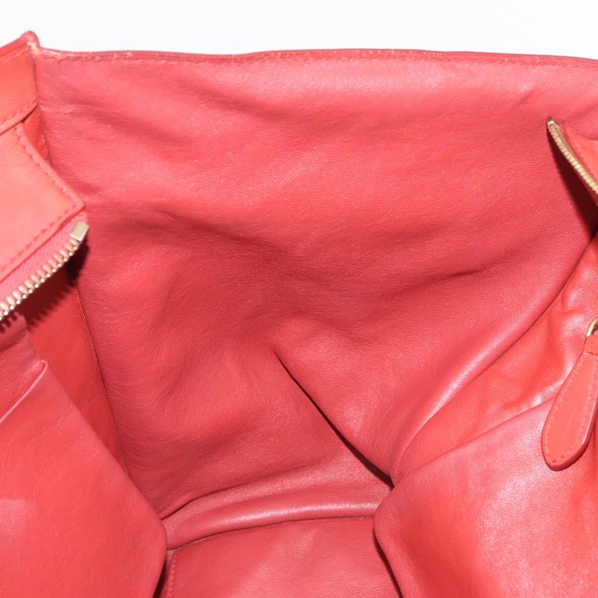 Celine Luggage Suede Red Leather Handbag (Pre-Owned)
