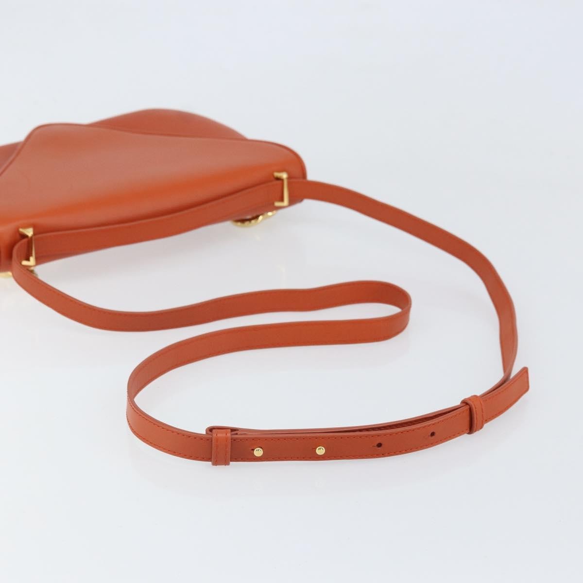 Bottega Veneta Mount Leather Brown Leather Shoulder Bag Bag (Pre-Owned)