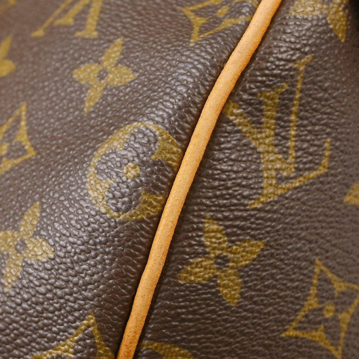 Louis Vuitton Speedy Monogram Canvas Brown Canvas Handbag (Pre-Owned)