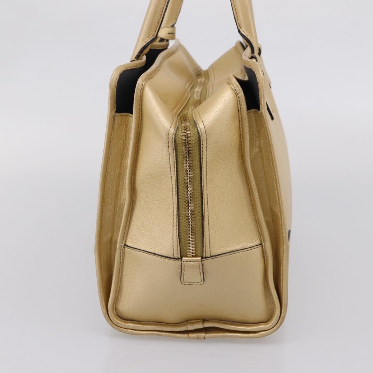 Loewe Amazona Leather Gold Leather Handbag (Pre-Owned)