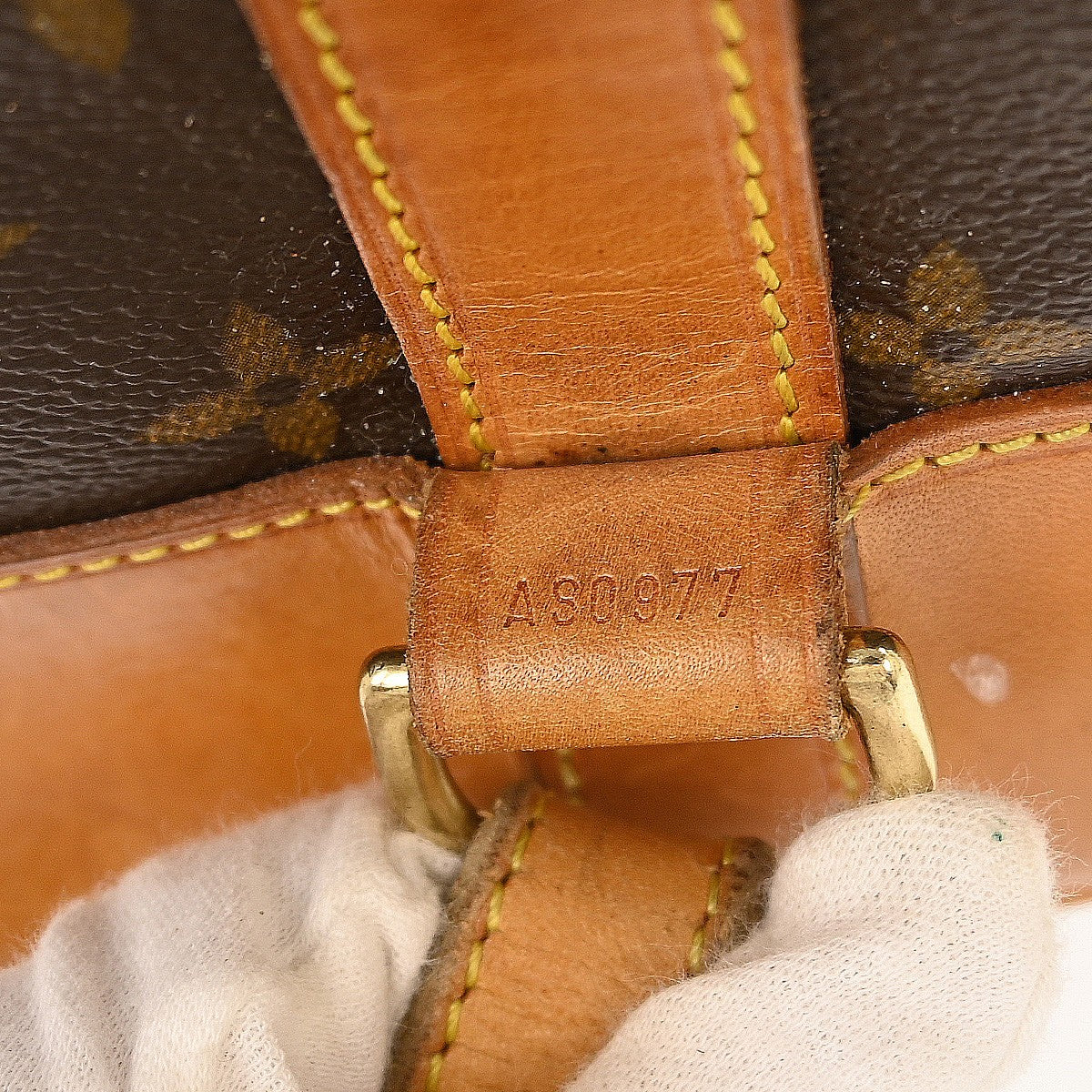 Louis Vuitton Randonnee Monogram Canvas Brown Canvas Backpack Bag (Pre-Owned)
