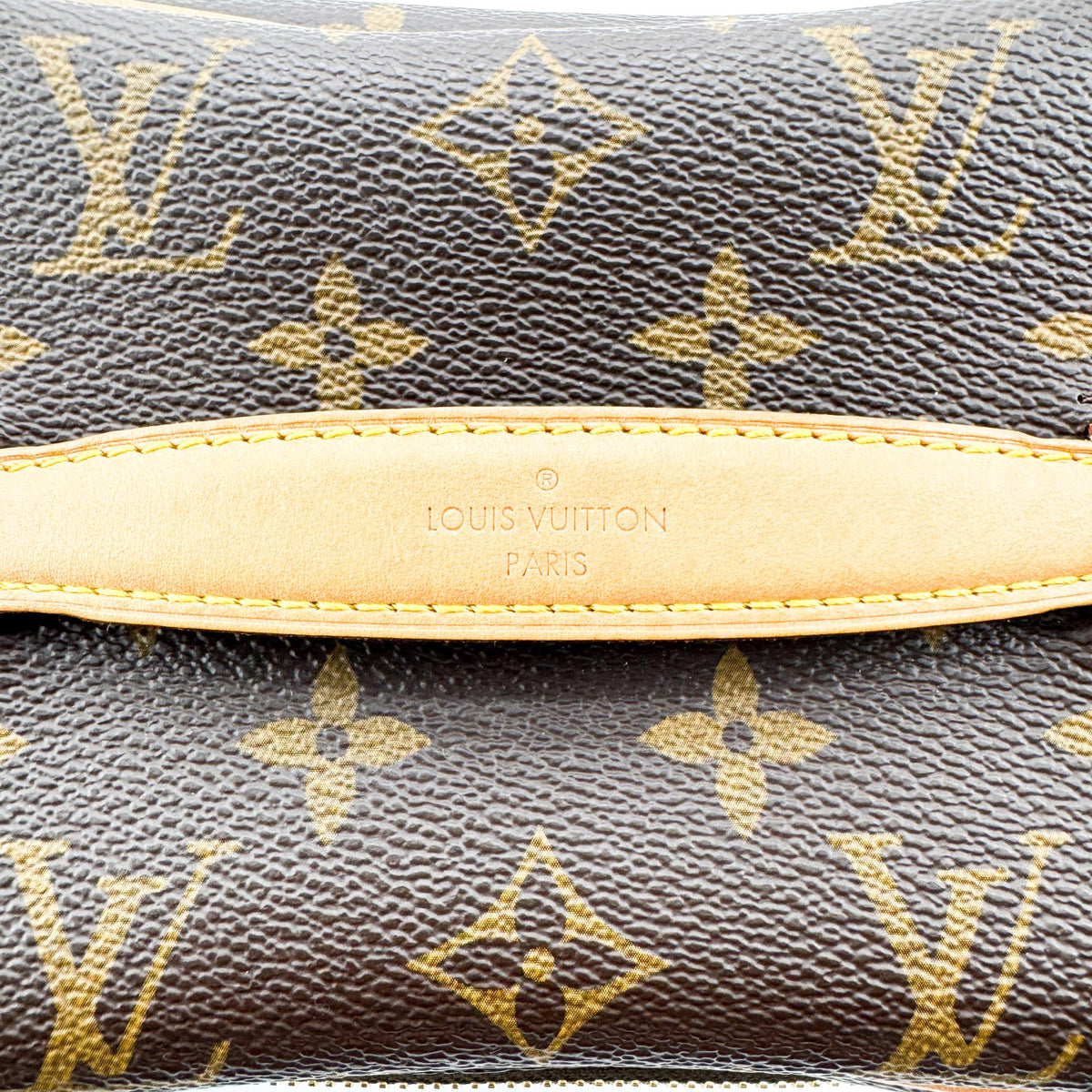 Louis Vuitton Nice Vanity Case Monogram Canvas Brown Canvas Handbag (Pre-Owned)