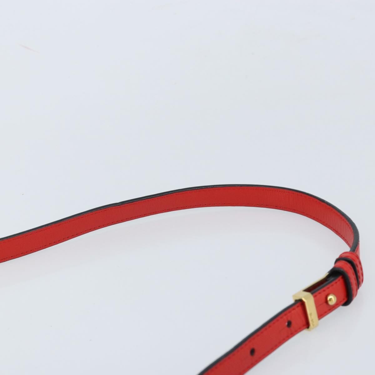 Loewe Barcelona Leather Red Leather Shoulder Bag Bag (Pre-Owned)