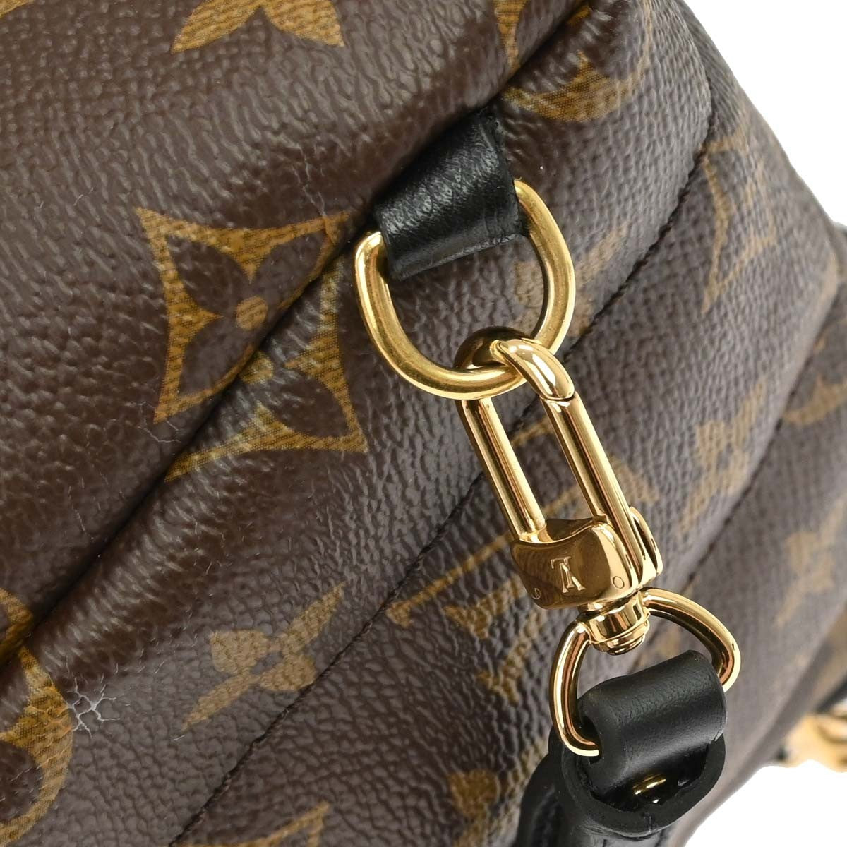 Louis Vuitton Palm Springs Monogram Brown Canvas Backpack Bag (Pre-Owned)