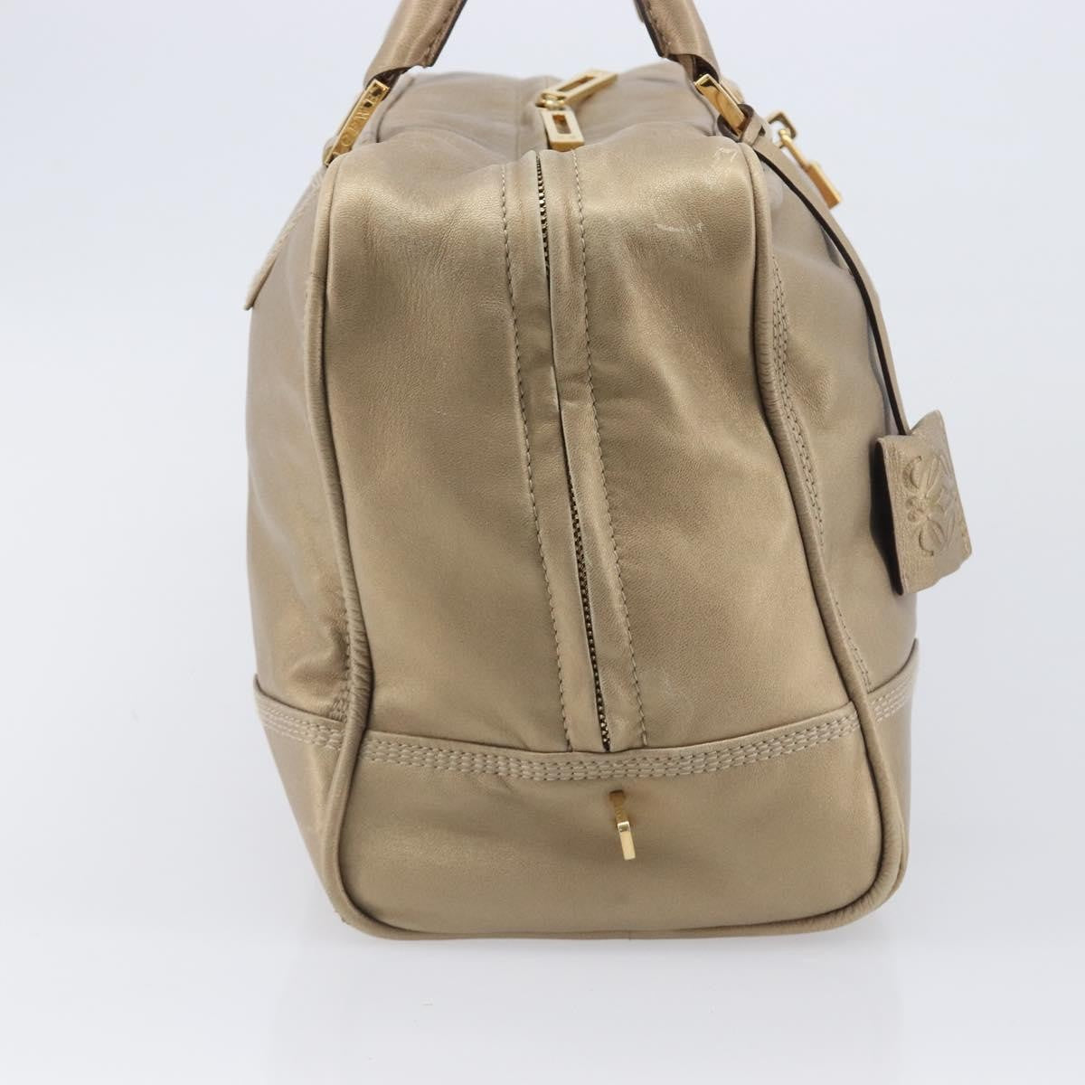 Loewe Amazona Leather Gold Leather Handbag (Pre-Owned)